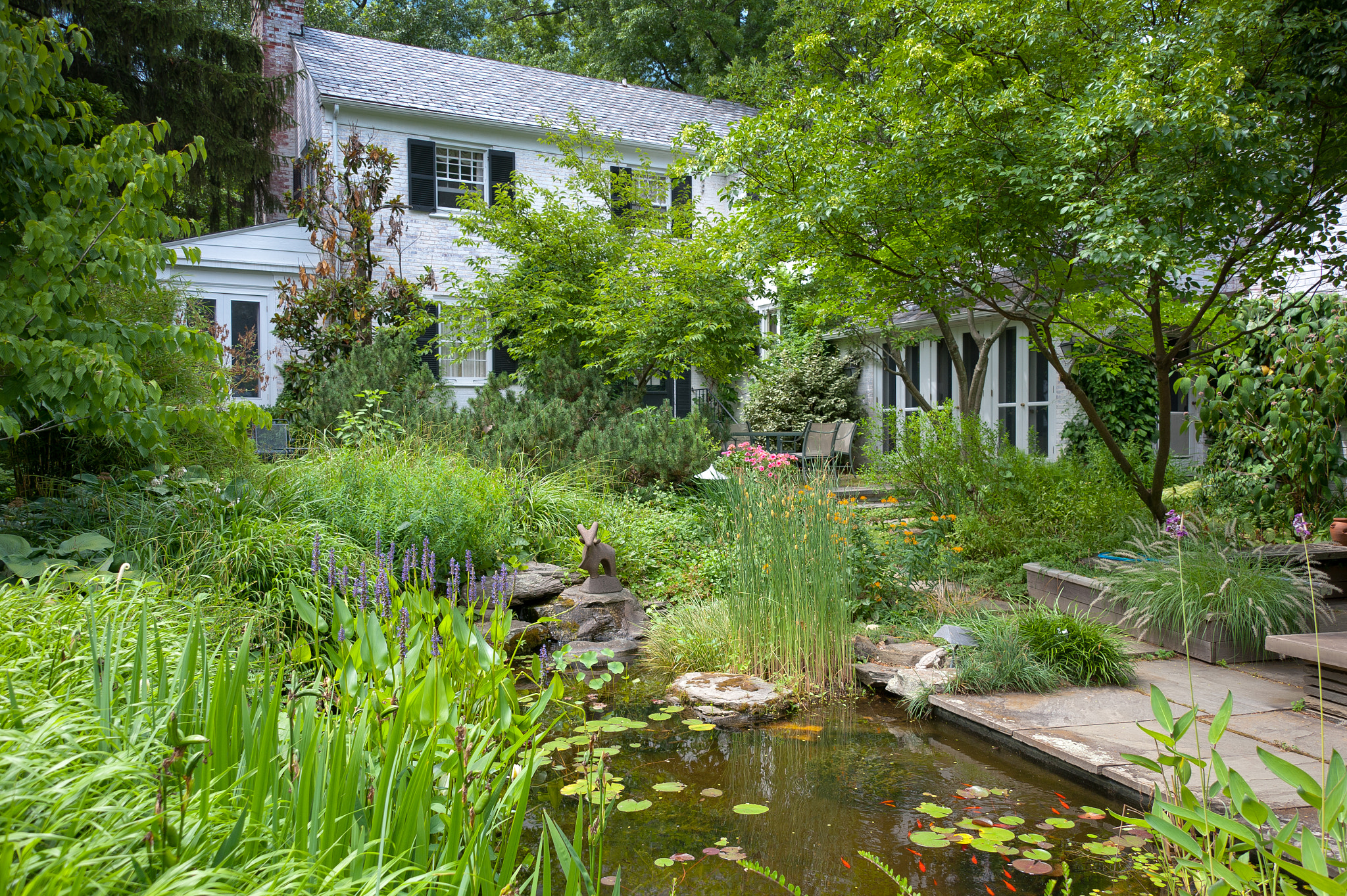 Nikon D700 sample photo. Garden and pond at vollmer garden, murray hill photography
