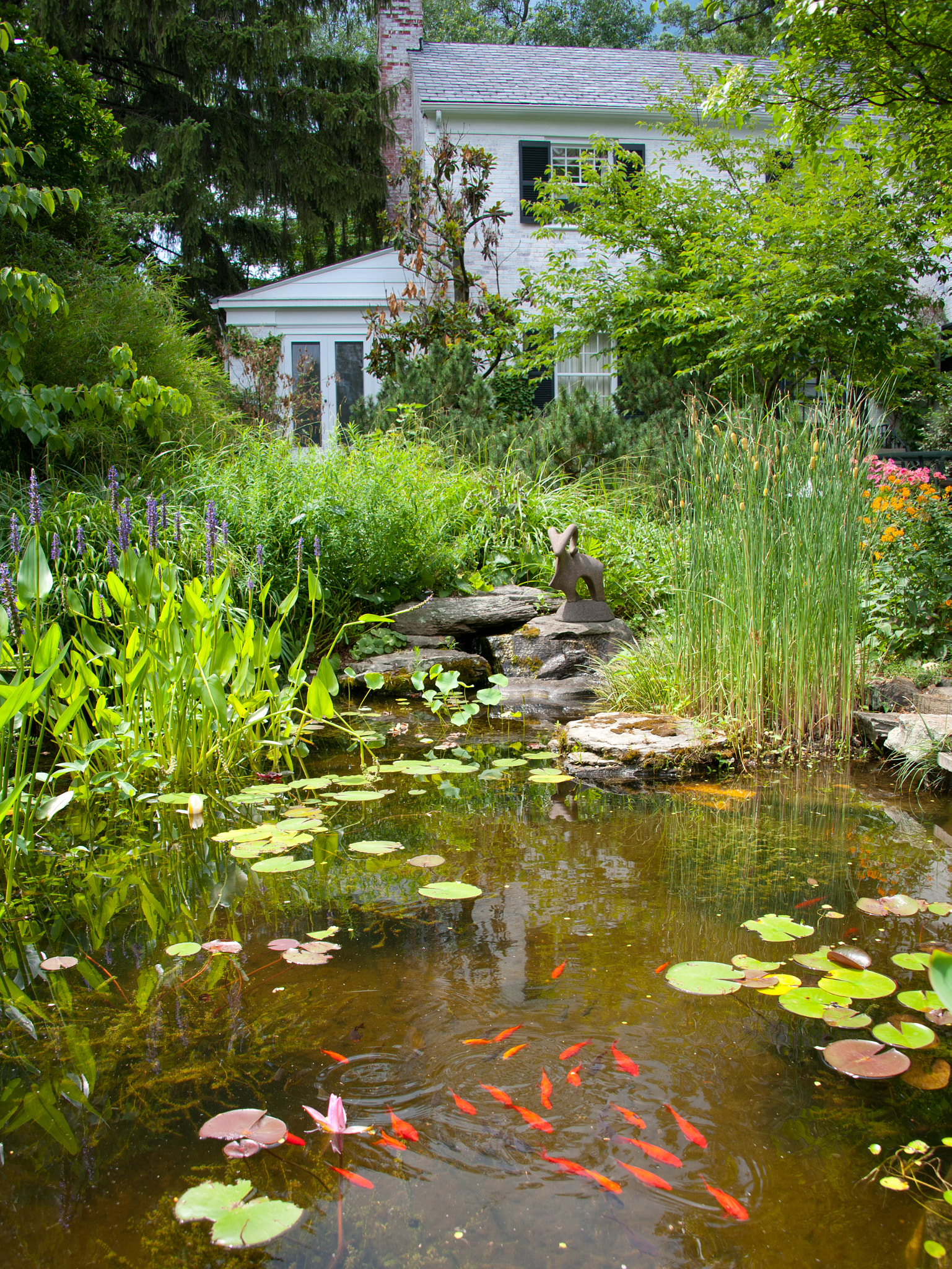 Nikon D700 sample photo. Garden and pond at vollmer garden, murray hill photography