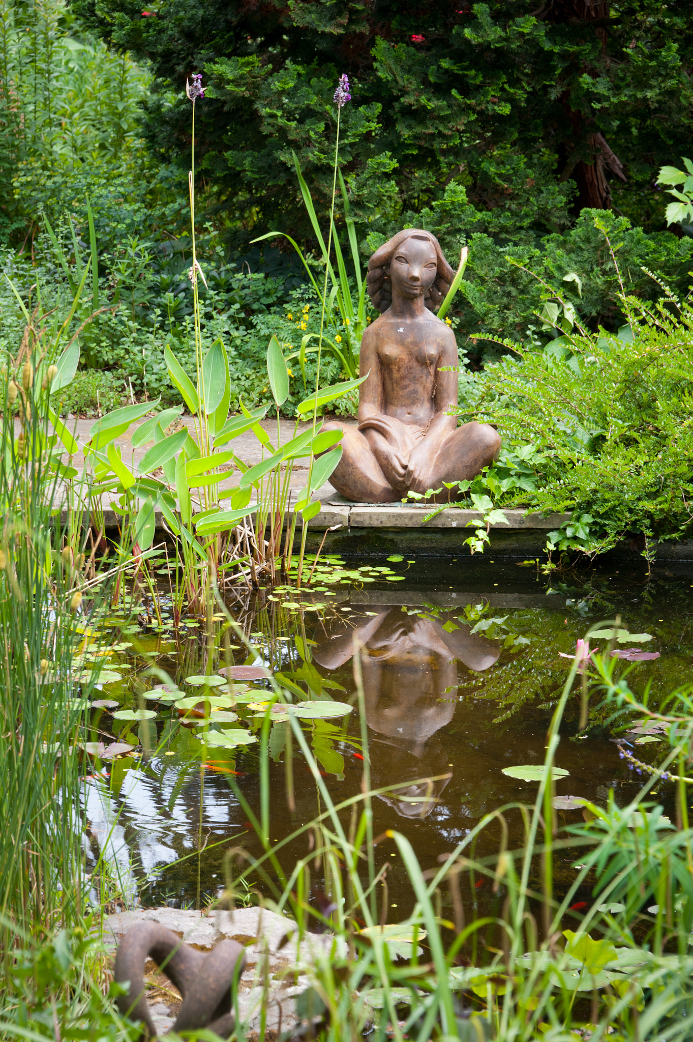 Nikon D700 sample photo. Vollmer garden, murray hill photography