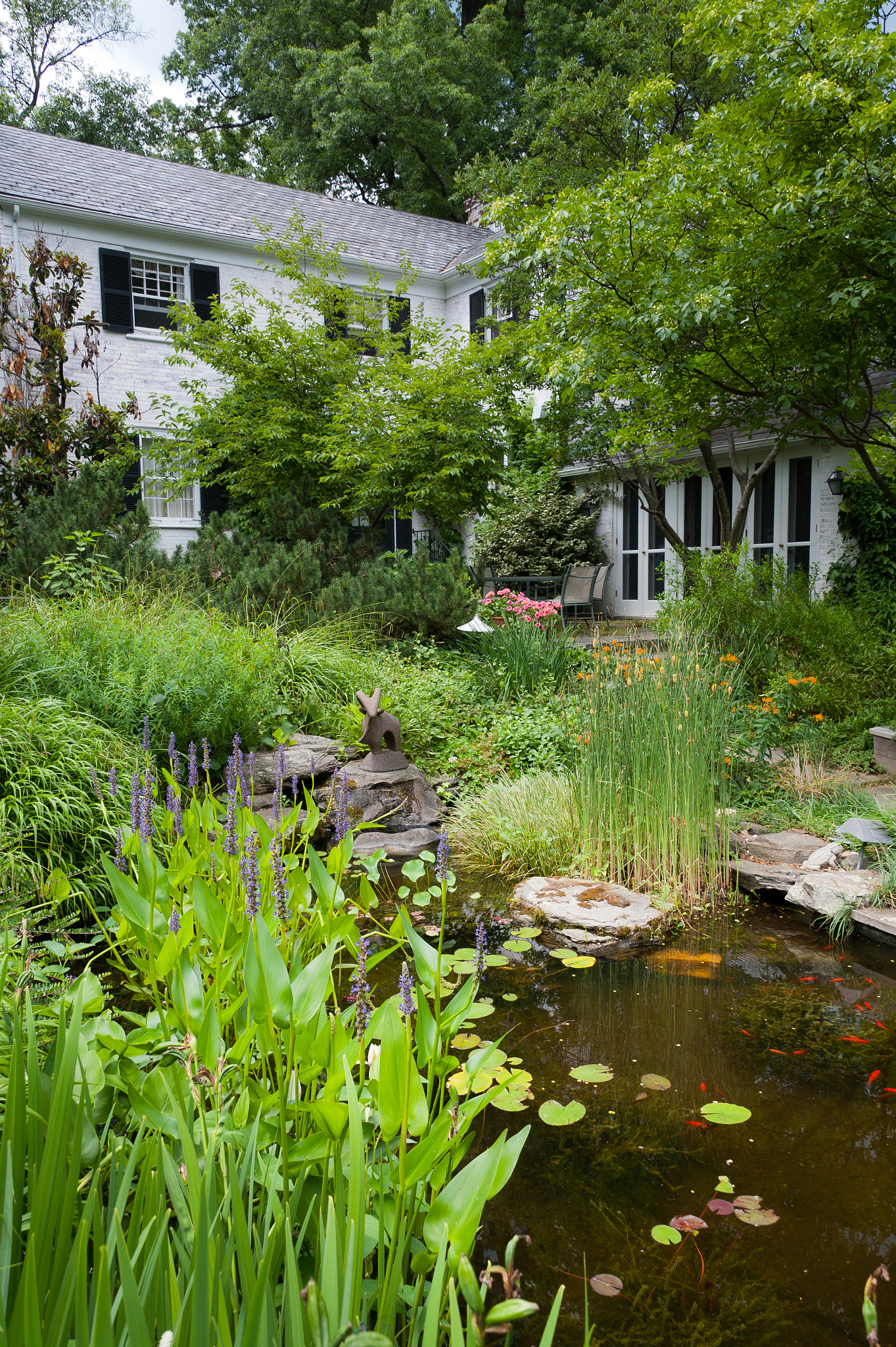 Nikon D700 sample photo. Garden and pond at vollmer garden, murray hill photography