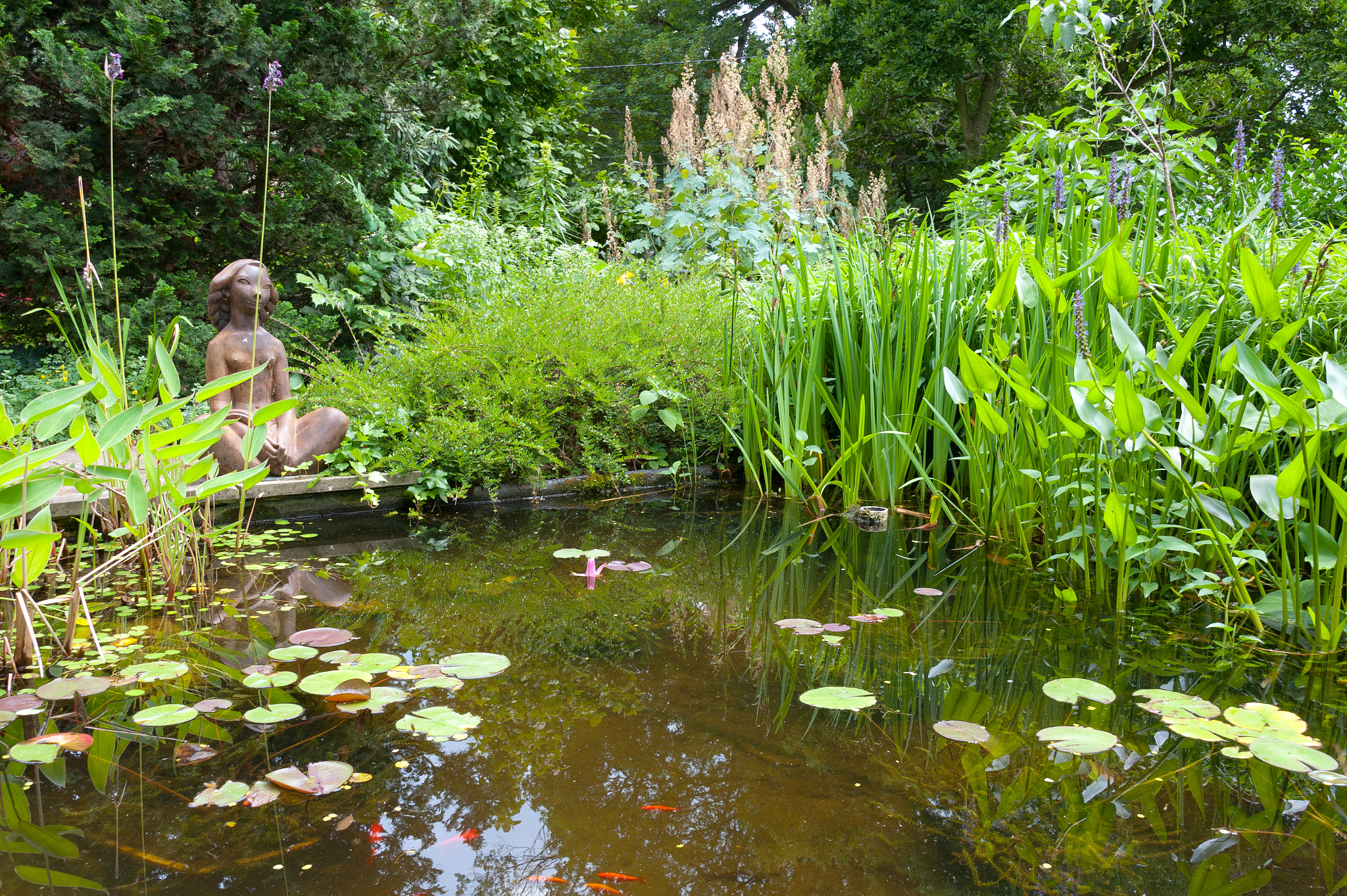 Nikon D700 sample photo. Garden and pond at vollmer garden, murray hill photography