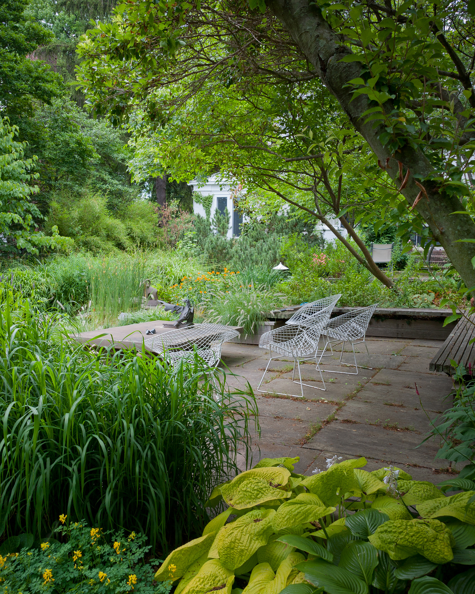Nikon D700 sample photo. Garden and pond at vollmer garden, murray hill photography