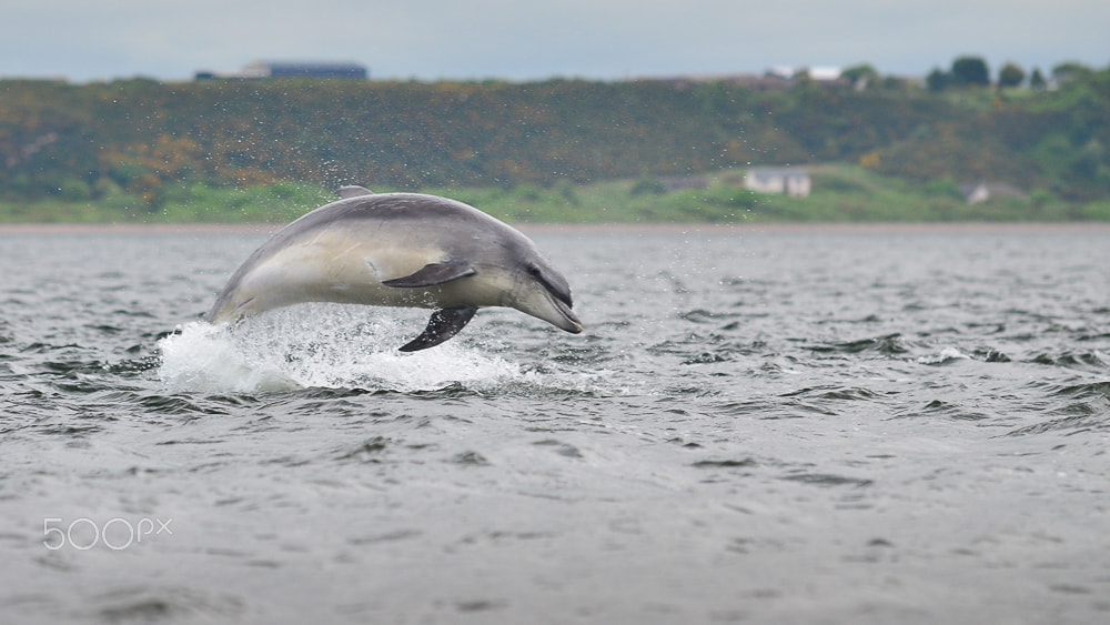 Sigma 70-200mm F2.8 EX DG Macro HSM II sample photo. Abenteuer schottland photography