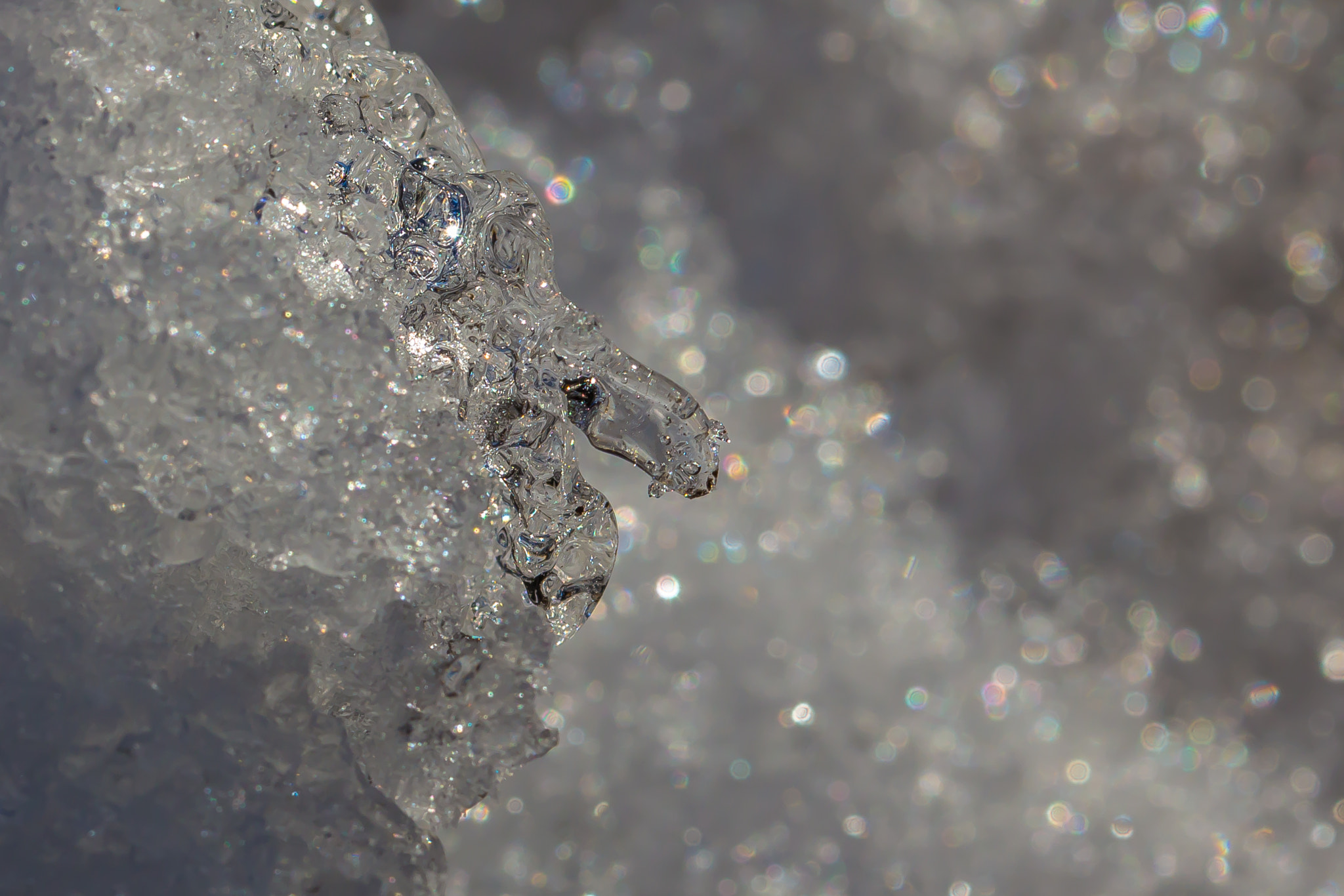 Canon EF 100mm F2.8L Macro IS USM sample photo. Ice face photography