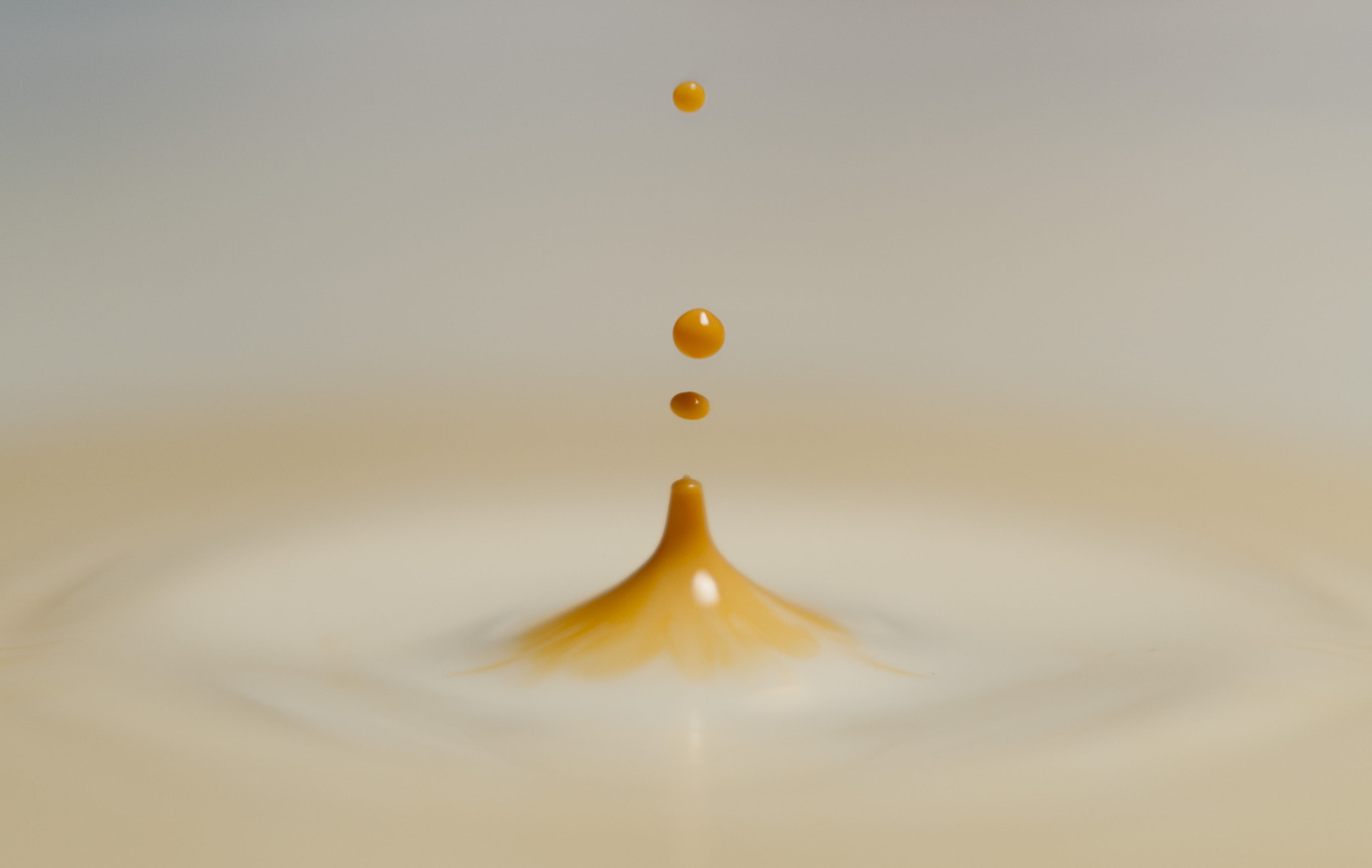 Nikon D300S + Nikon AF Nikkor 50mm F1.8D sample photo. The dance of the yellow drops photography