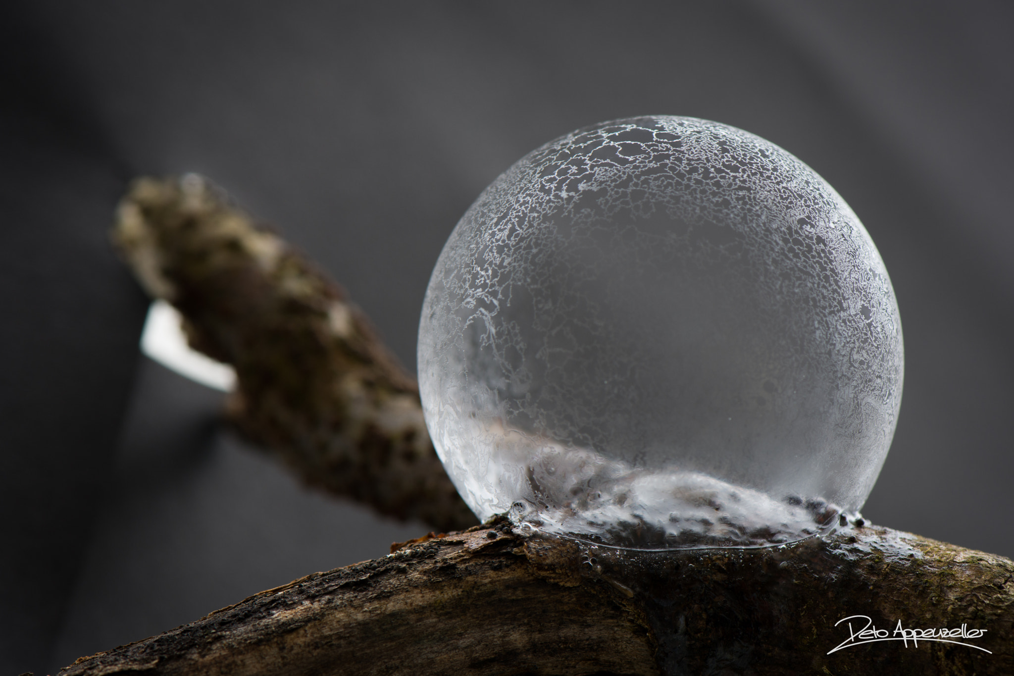 Nikon AF-S Micro-Nikkor 105mm F2.8G IF-ED VR sample photo. Frozen bubble photography