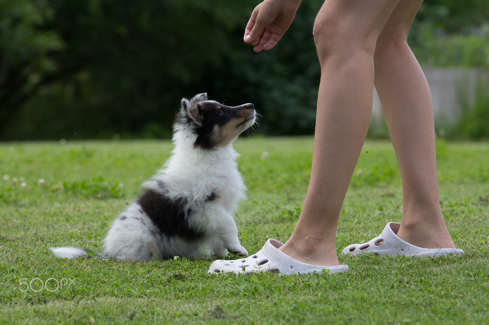 Canon EOS 60D + Canon EF 70-200mm F4L IS USM sample photo. Training photography