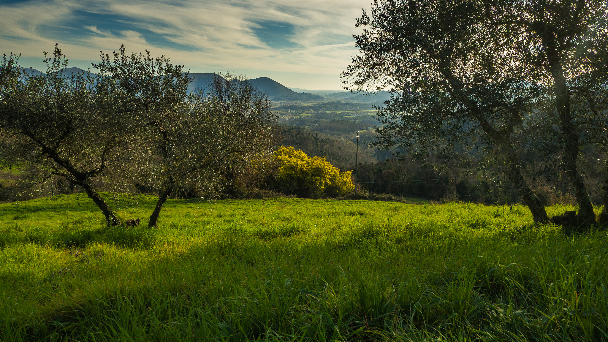 OLYMPUS M.12mm F2.0 sample photo. From the hills to the coast photography