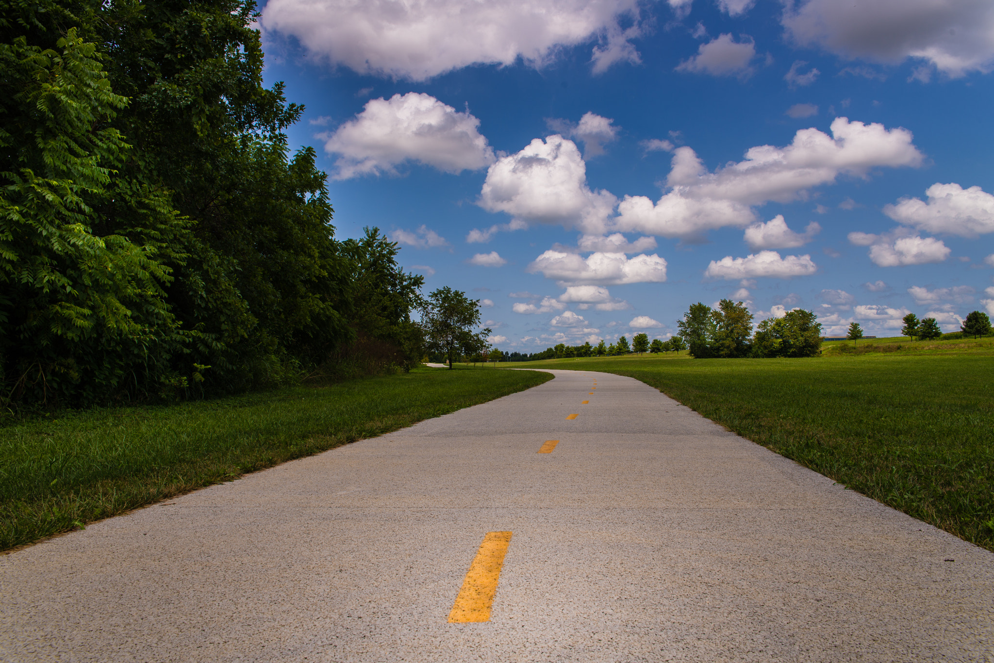 Sigma 24-70mm F2.8 EX DG HSM sample photo. Pathway photography