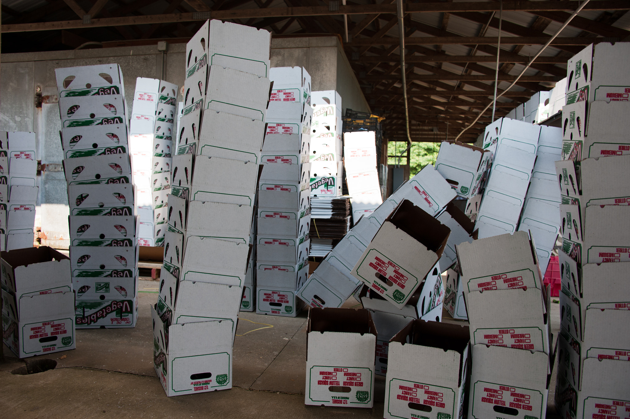 Nikon D700 sample photo. Stacks of boxes on farm for packing vegetables photography