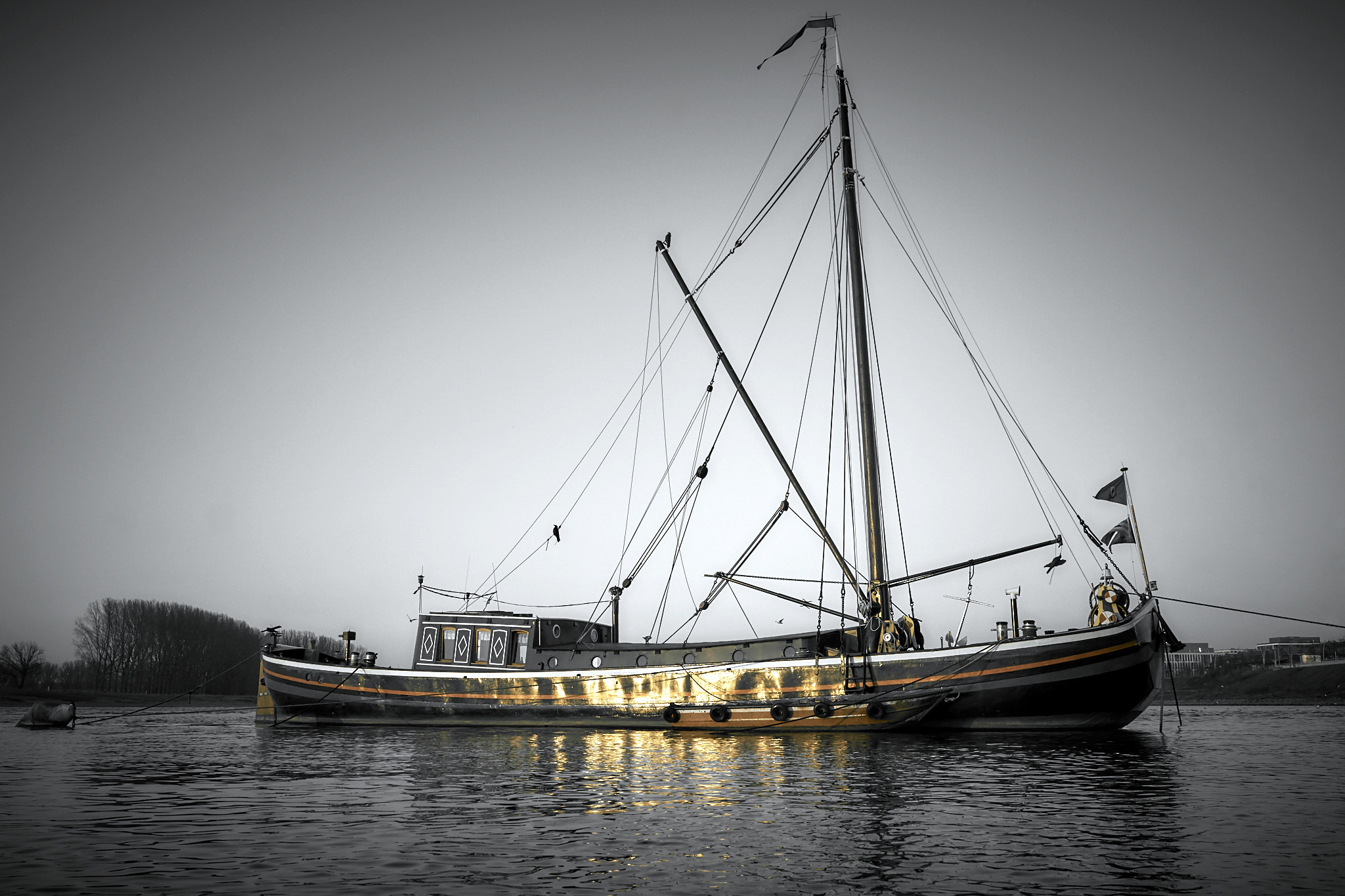 Sony ILCA-77M2 sample photo. Aalschokker photography