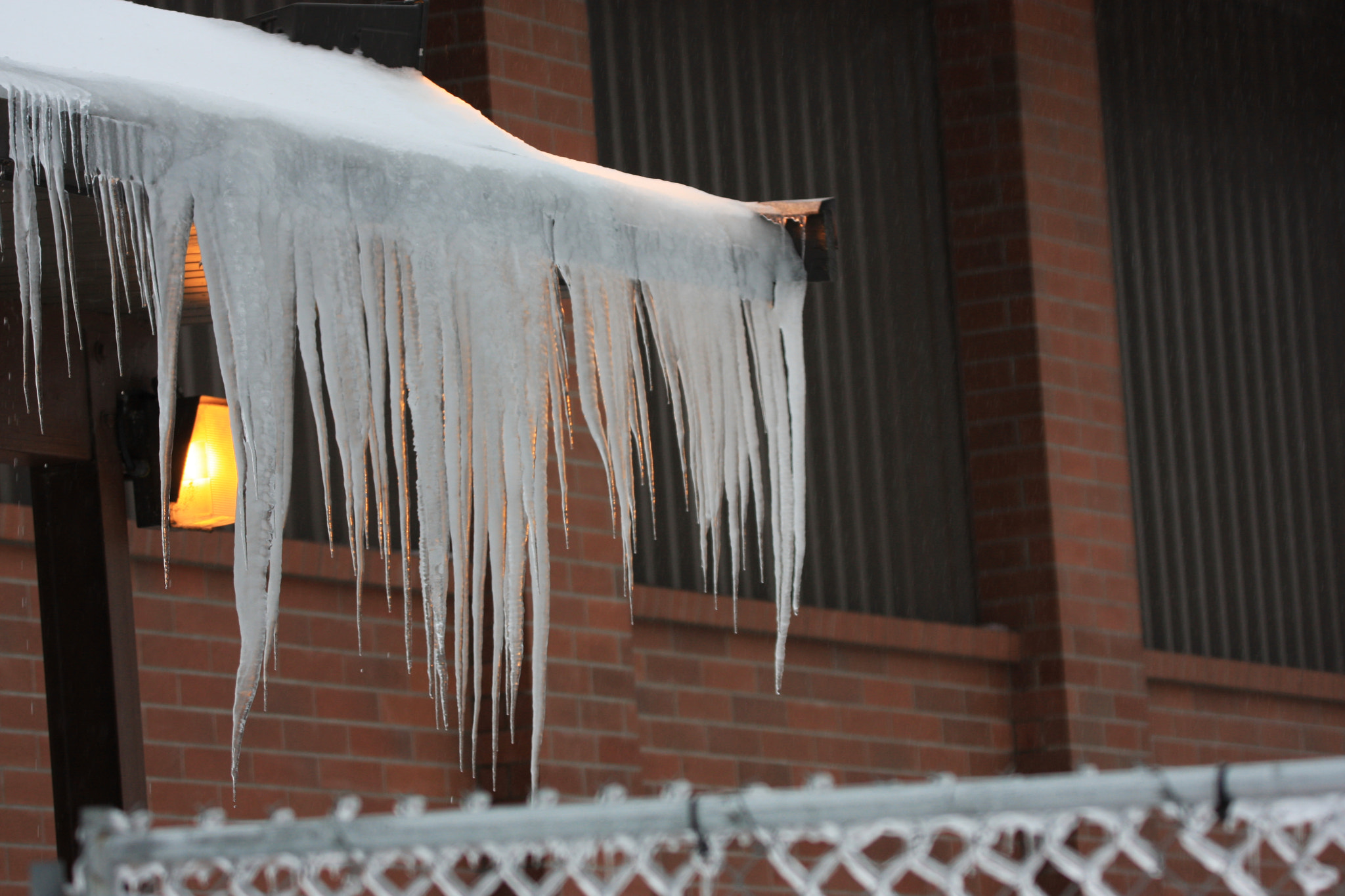 Tamron SP 150-600mm F5-6.3 Di VC USD sample photo. Ice and snow storm in lynden wa. 2017 photography