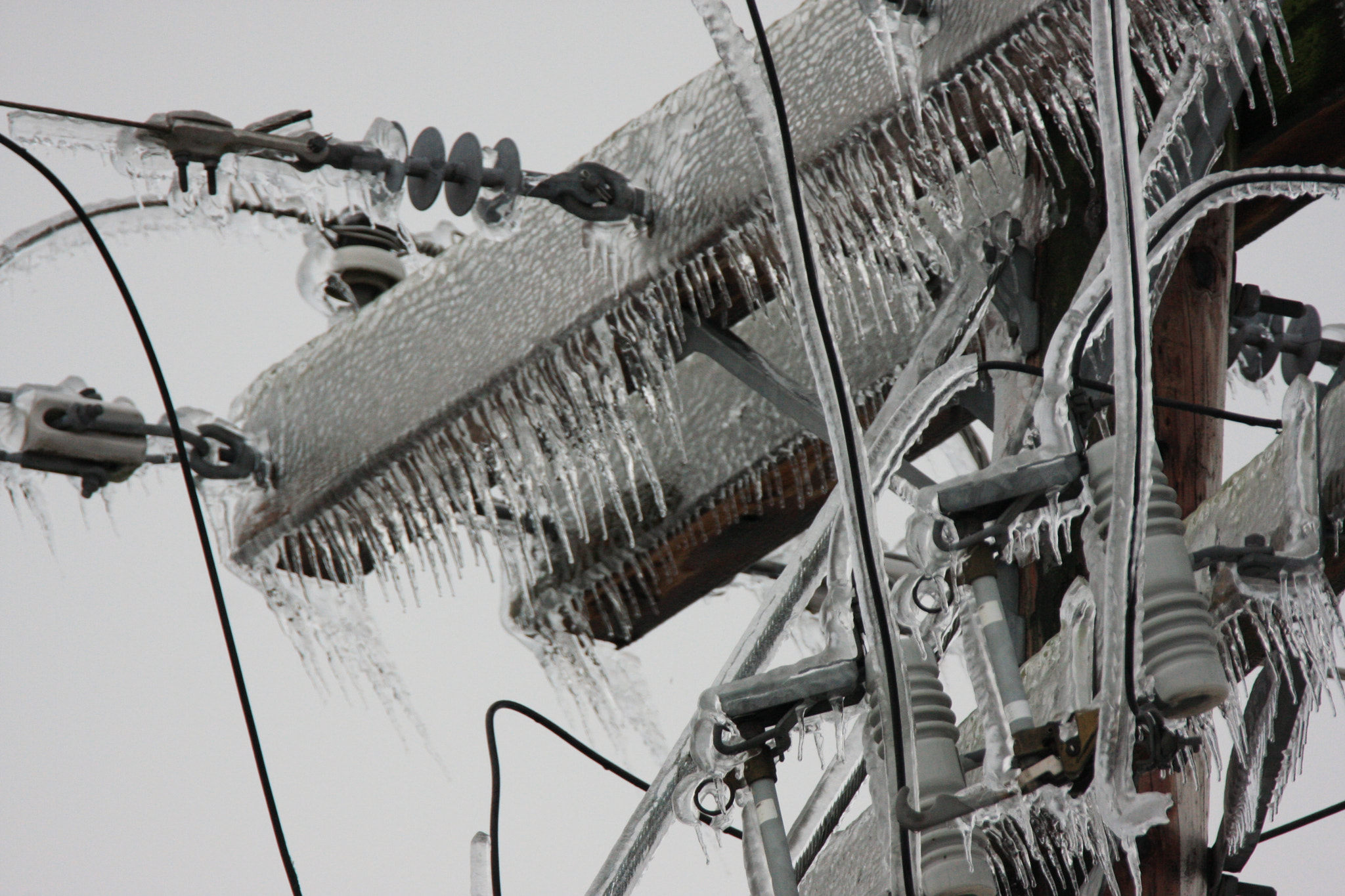 Tamron SP 150-600mm F5-6.3 Di VC USD sample photo. Ice and snow storm in lynden wa. 2017 photography