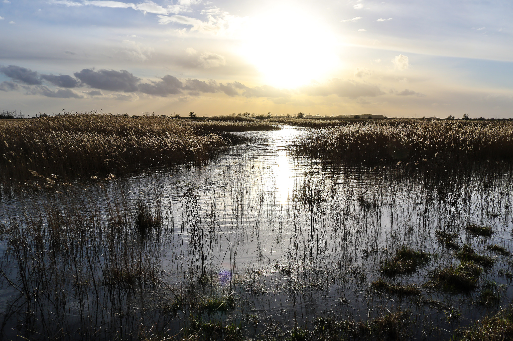 Canon EOS 7D Mark II + Canon EF-S 18-55mm F3.5-5.6 IS STM sample photo. Late afternoon at alkborough photography