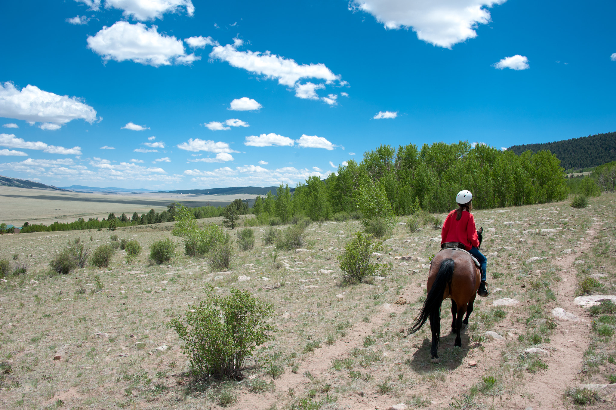 Nikon D700 sample photo. Young girl horseback riding in south park colorado photography