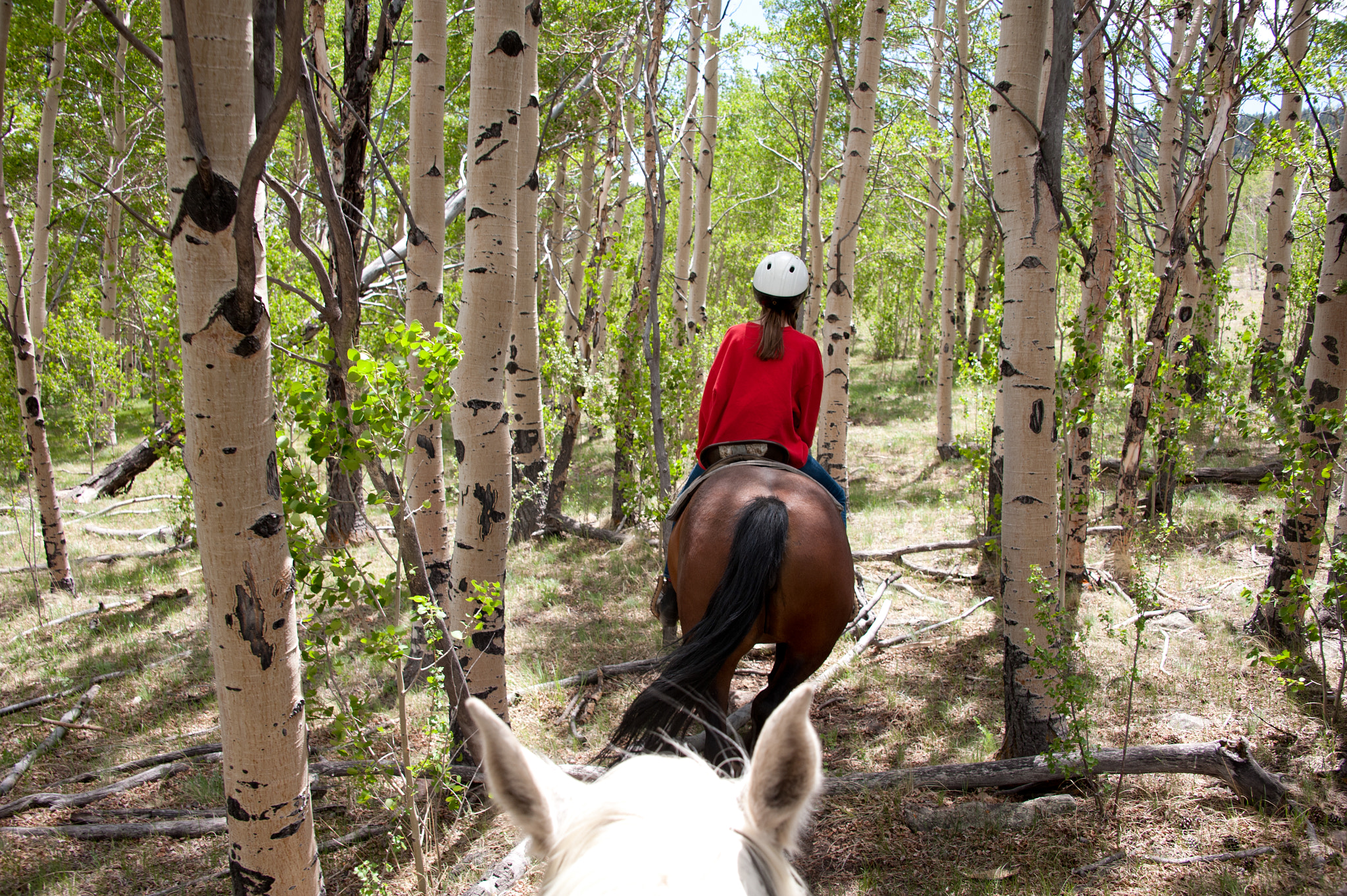 Nikon D700 sample photo. Young girl horseback riding in south park colorado photography