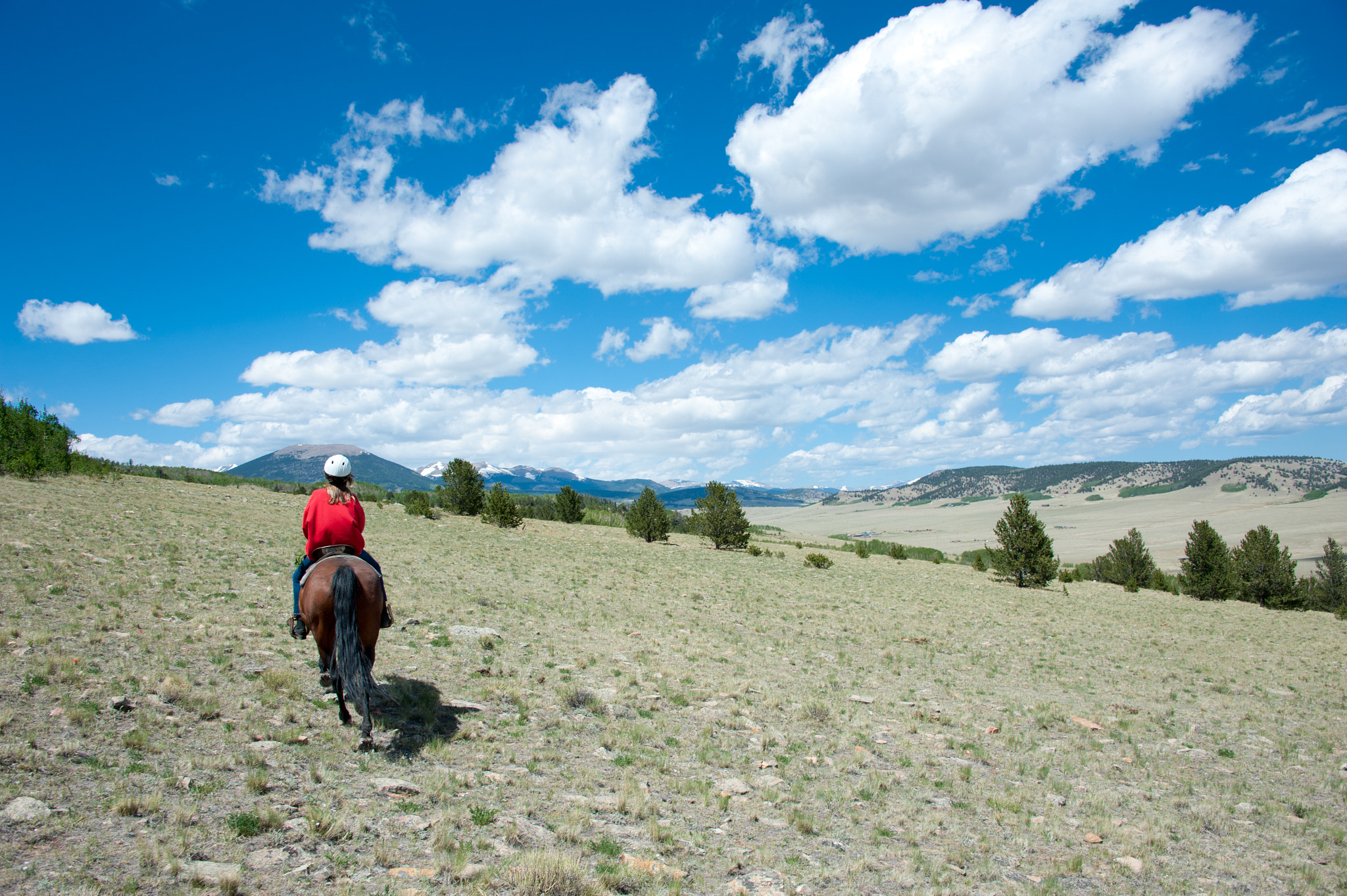 Nikon D700 sample photo. Young girl horseback riding in south park colorado photography