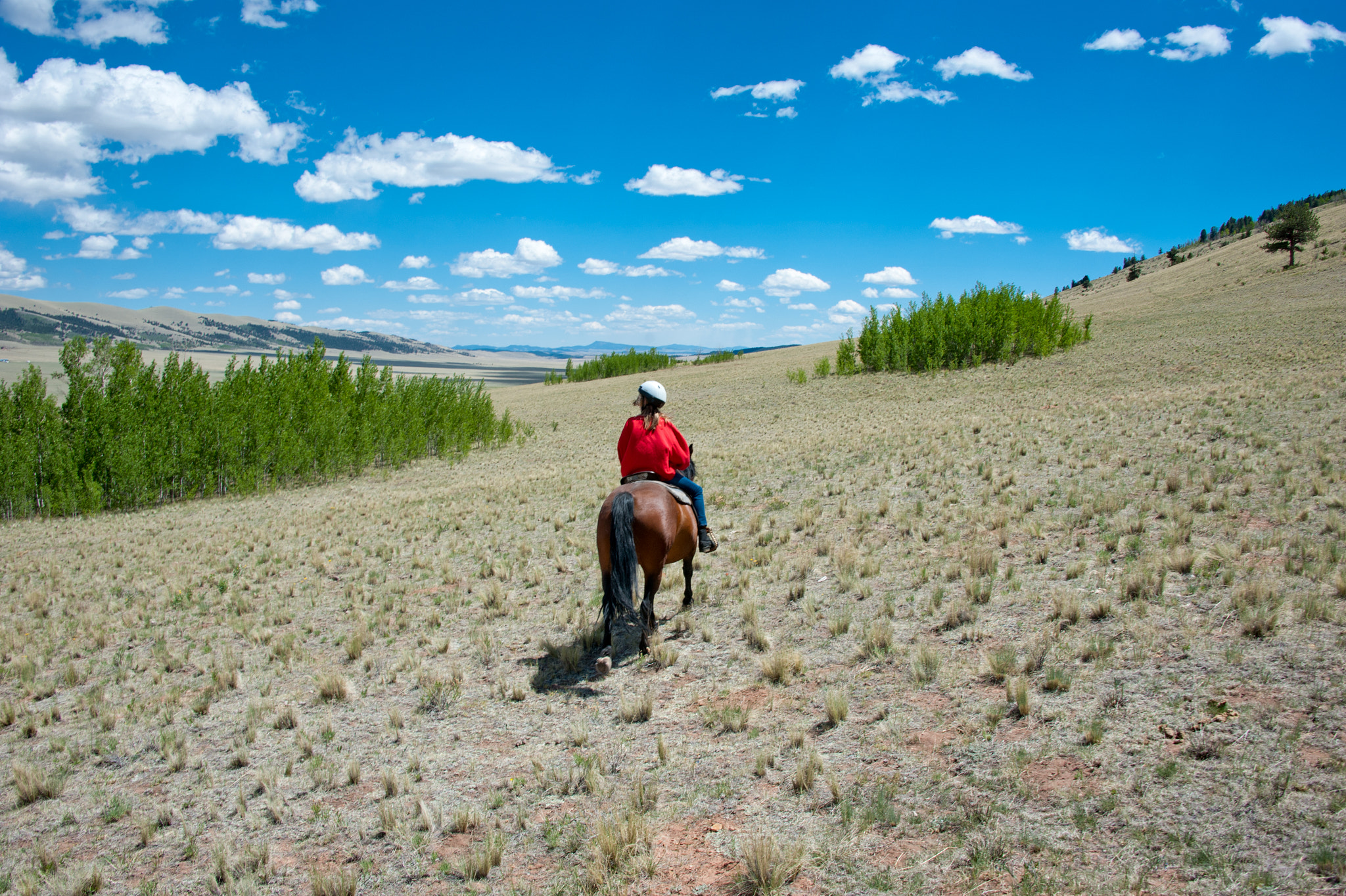 Nikon D700 sample photo. Young girl horseback riding in south park colorado photography