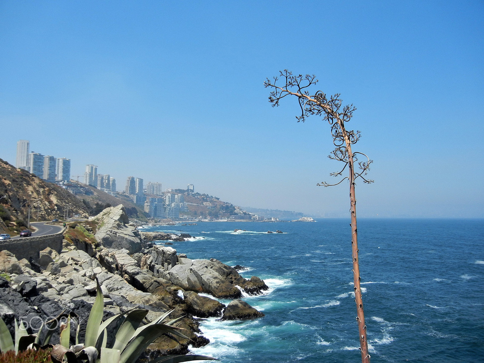 Nikon Coolpix S8100 sample photo. Vina del mar photography