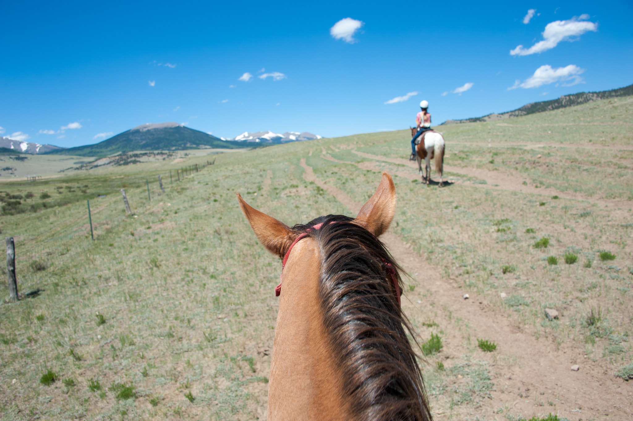Nikon D700 sample photo. Group horseback riding in south park colorado photography