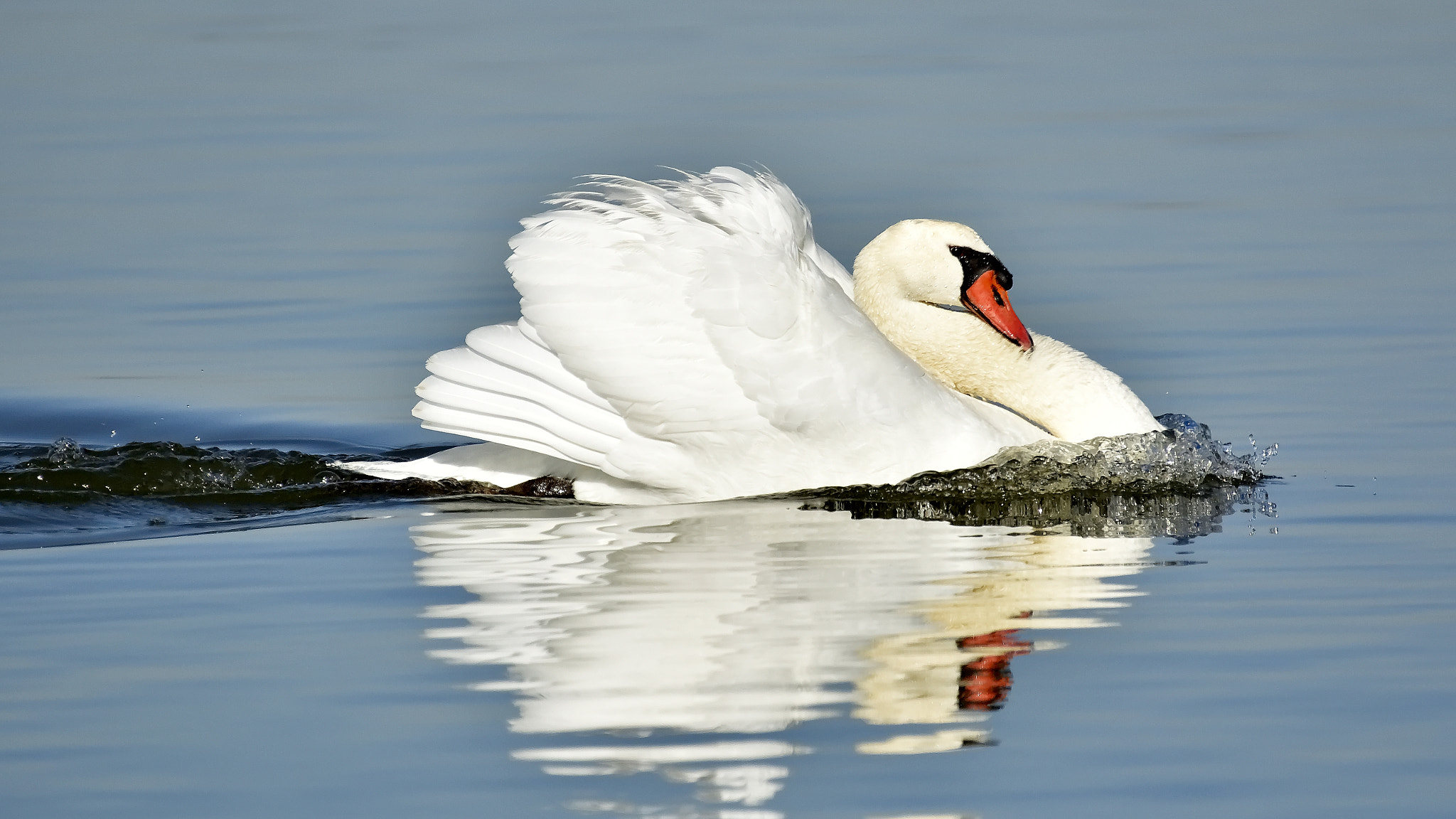 Nikon D3200 sample photo