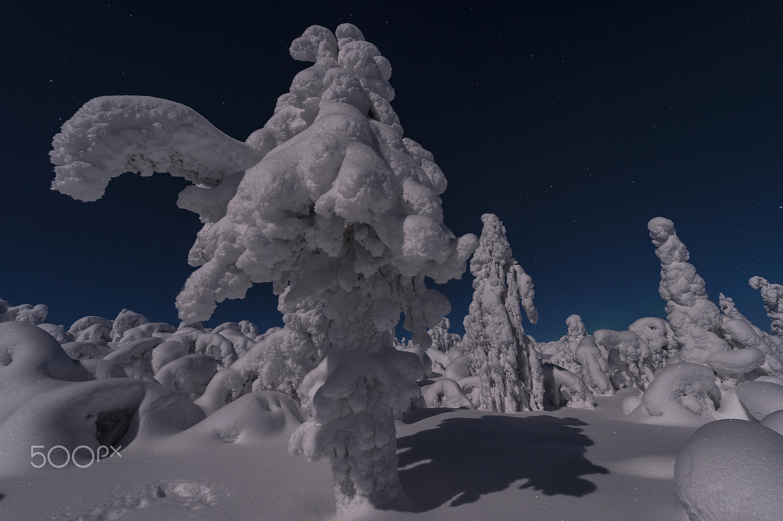 Nikon AF-S Nikkor 14-24mm F2.8G ED sample photo. Frozen dream world photography