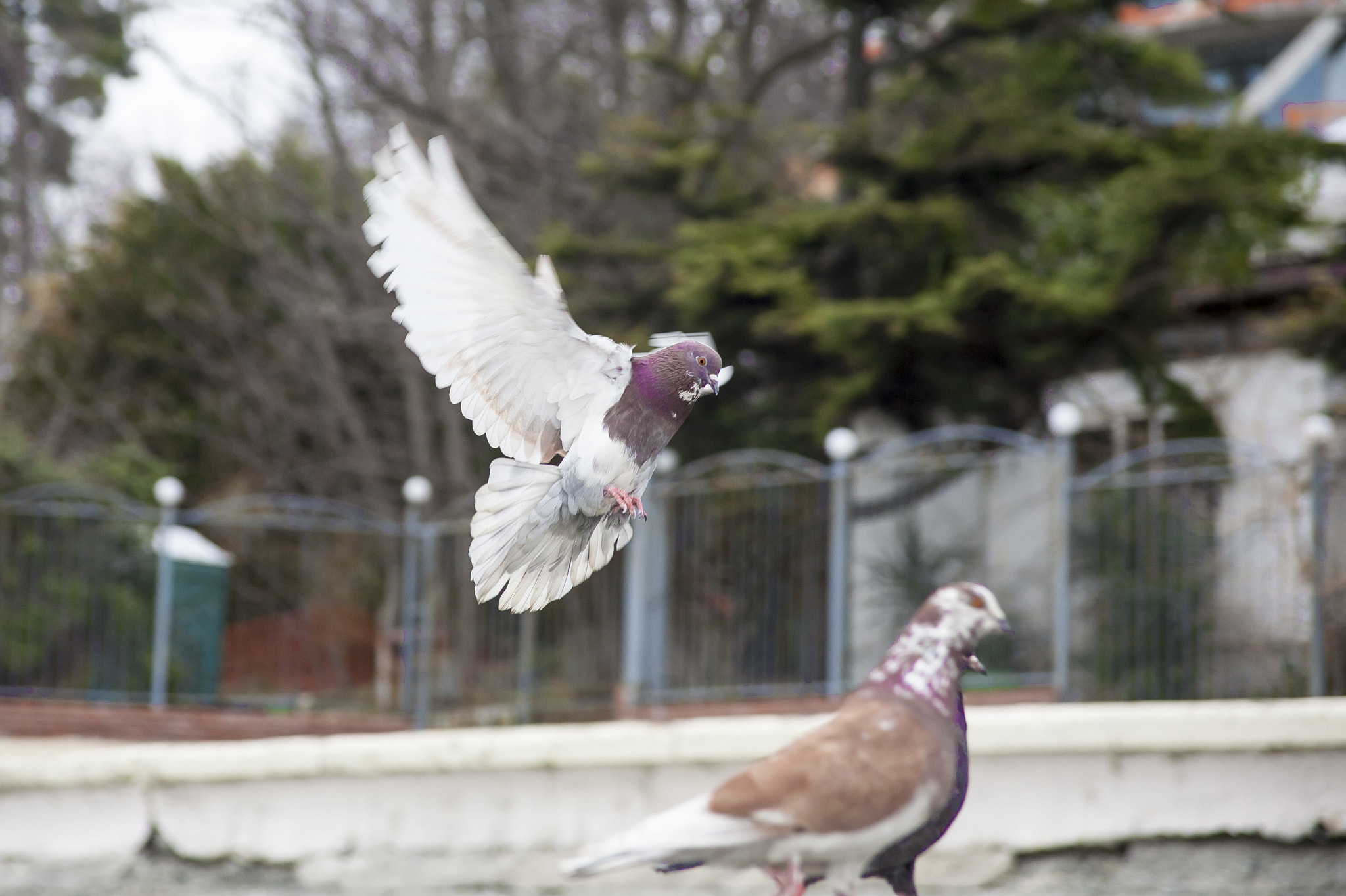 Canon EF 28-105mm f/3.5-4.5 USM sample photo. Fantom photography