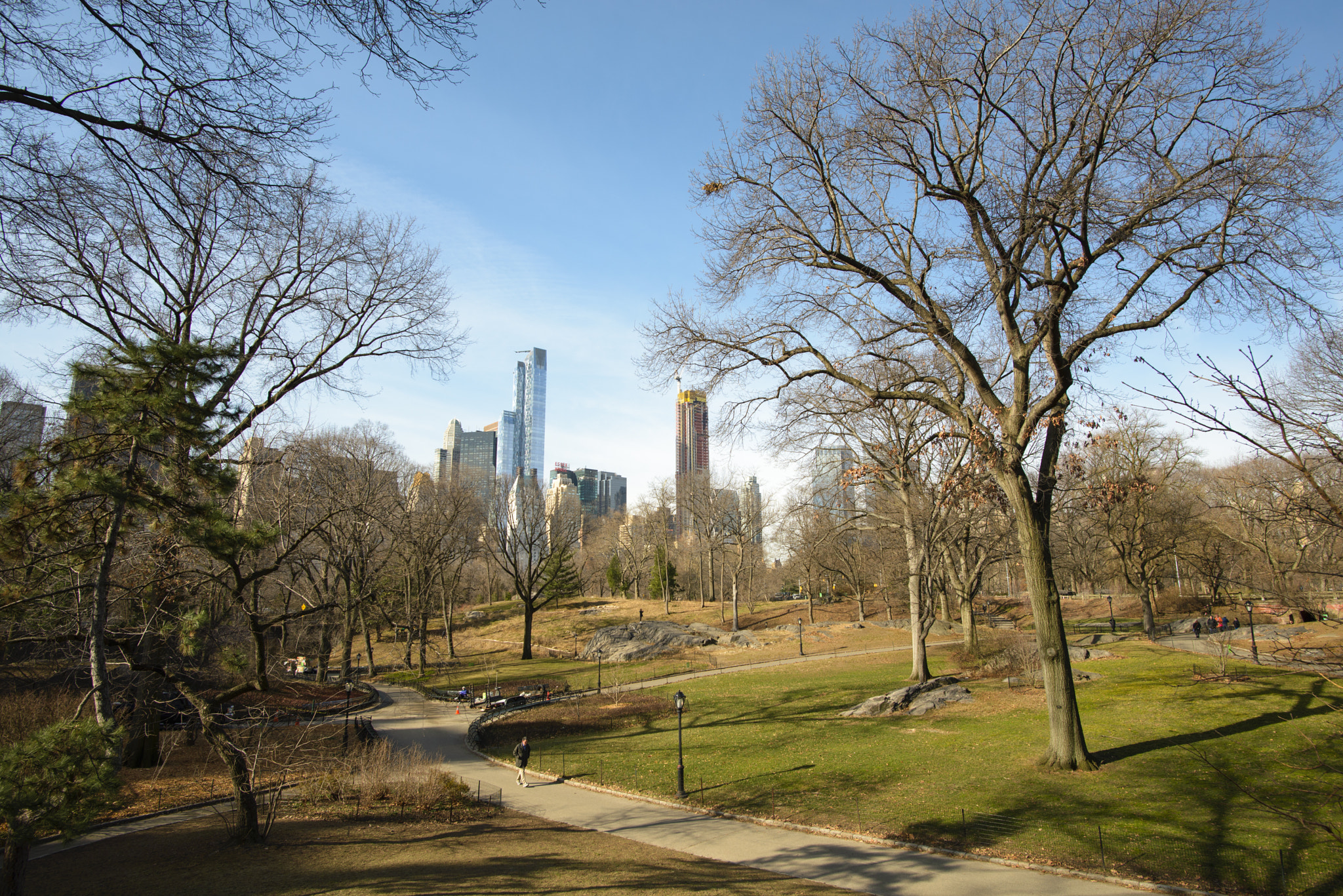 Nikon D600 + Nikon AF-S Nikkor 20mm F1.8G ED sample photo. Paths in central park photography