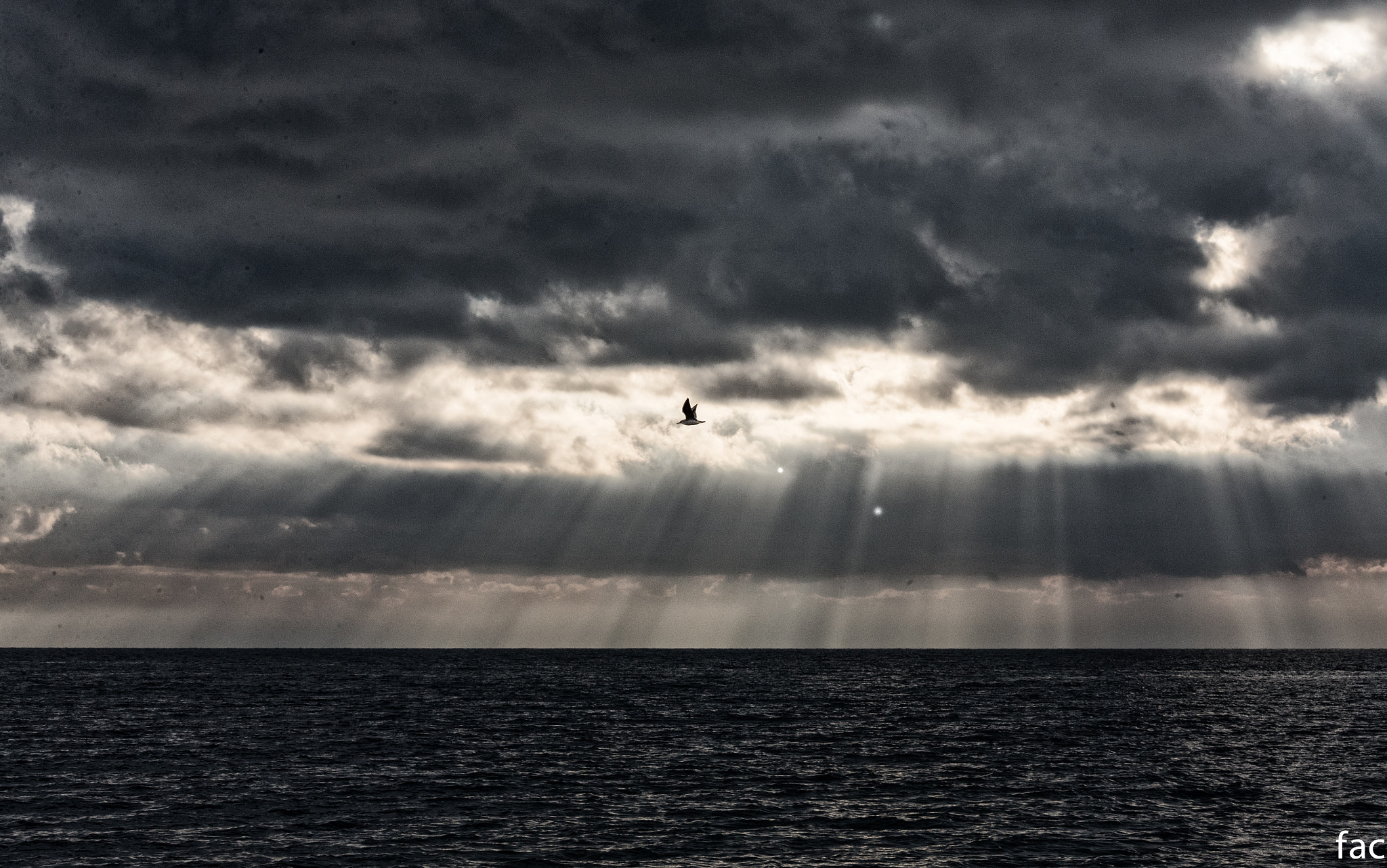 Canon EF 70-200mm F4L IS USM sample photo. Fly over the sea photography