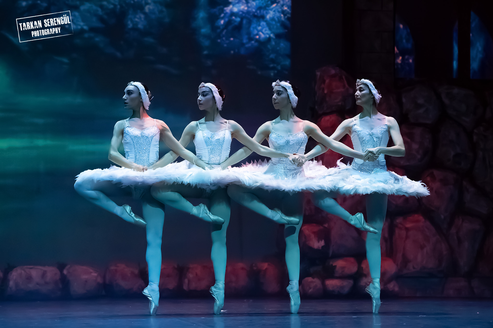 Nikon AF-S Nikkor 70-200mm F2.8G ED VR II sample photo. Swan lake photography