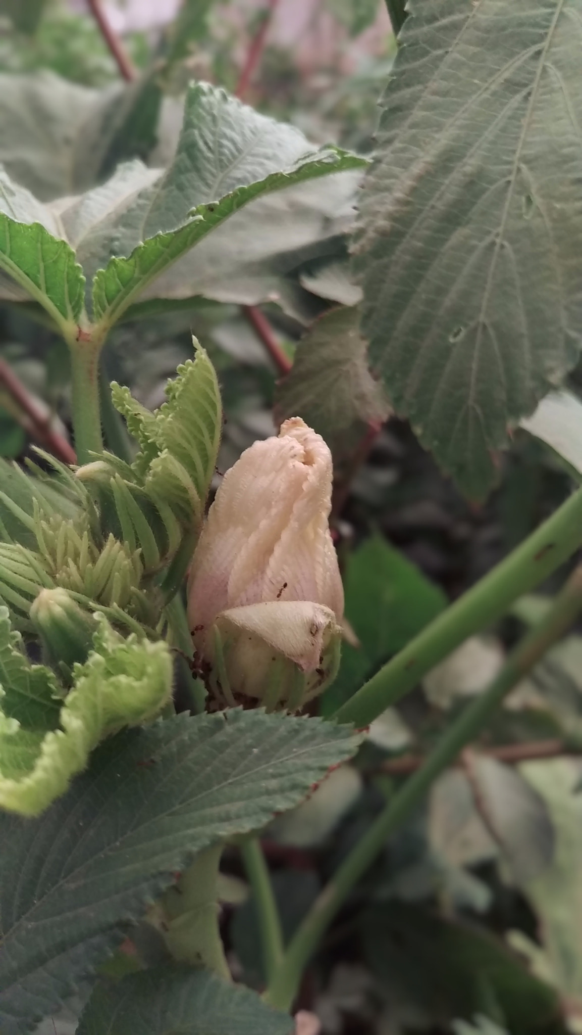 HTC M9 sample photo