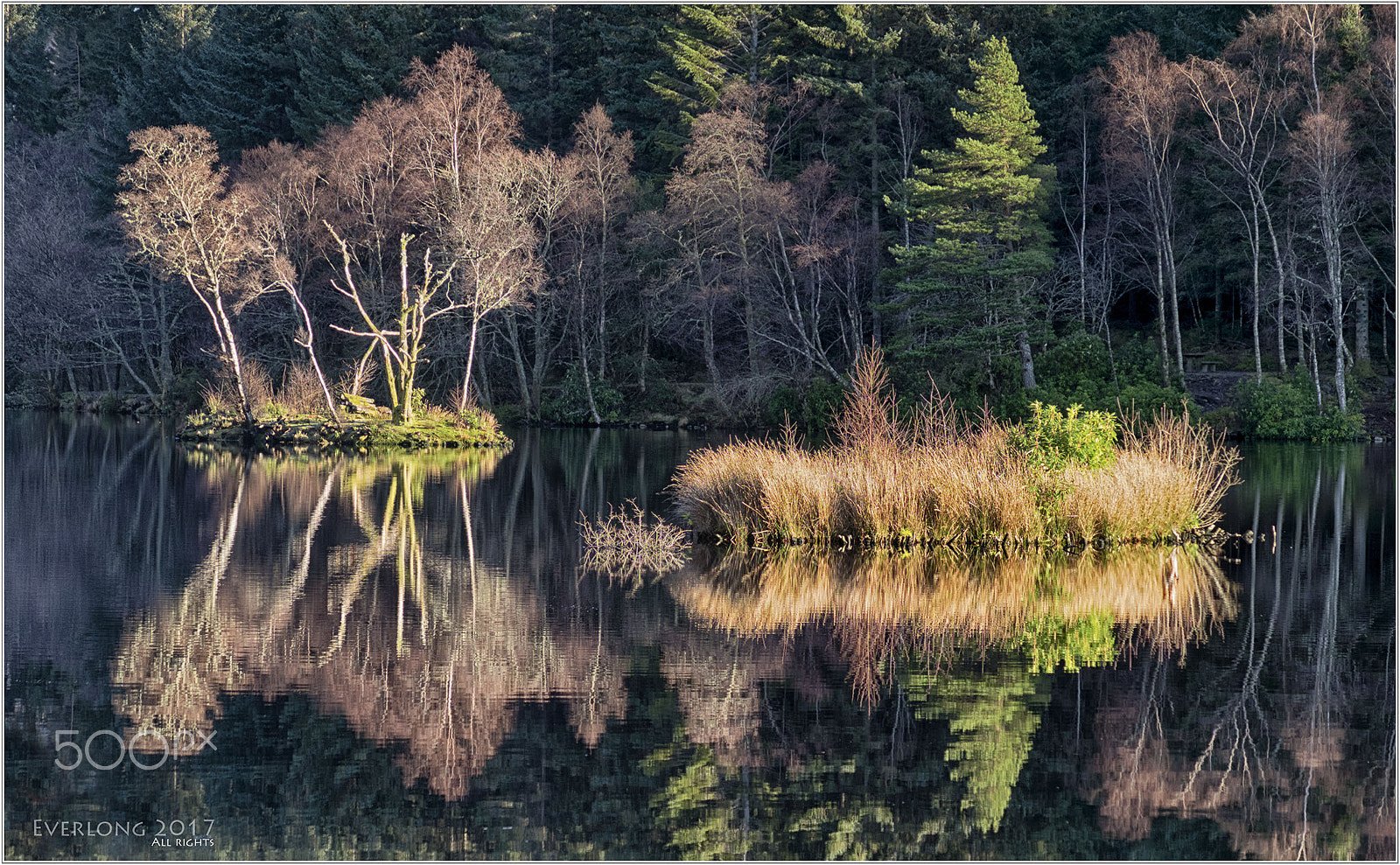 Fujifilm X-T10 + Fujifilm XF 18-135mm F3.5-5.6 R LM OIS WR sample photo. Lochan winter light. photography