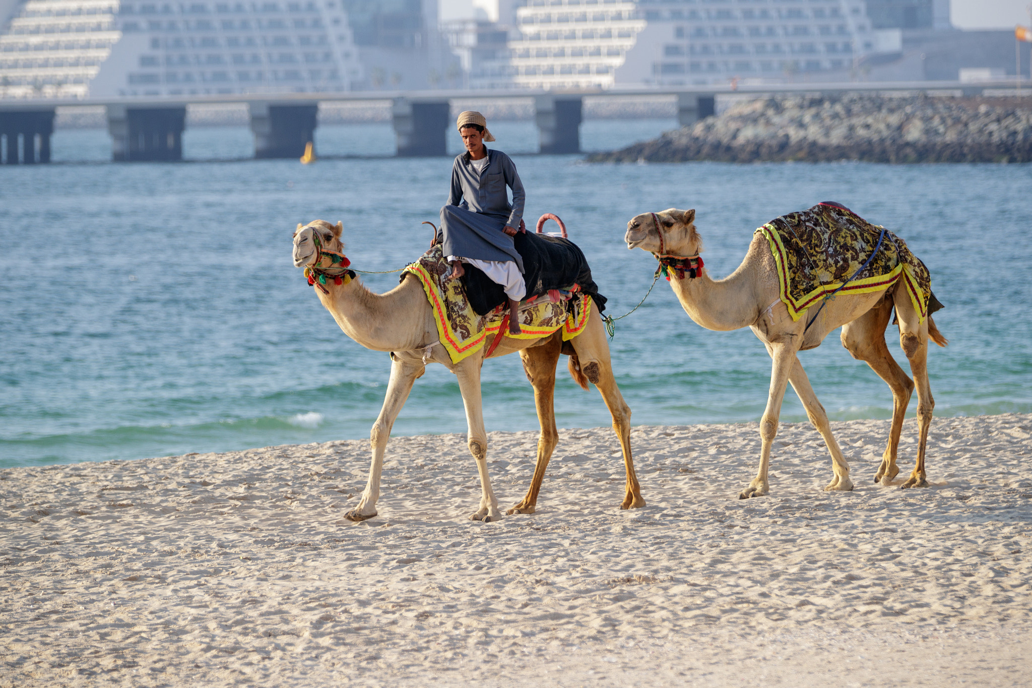 Canon EF 70-200mm F2.8L IS II USM sample photo. Dubai ae photography