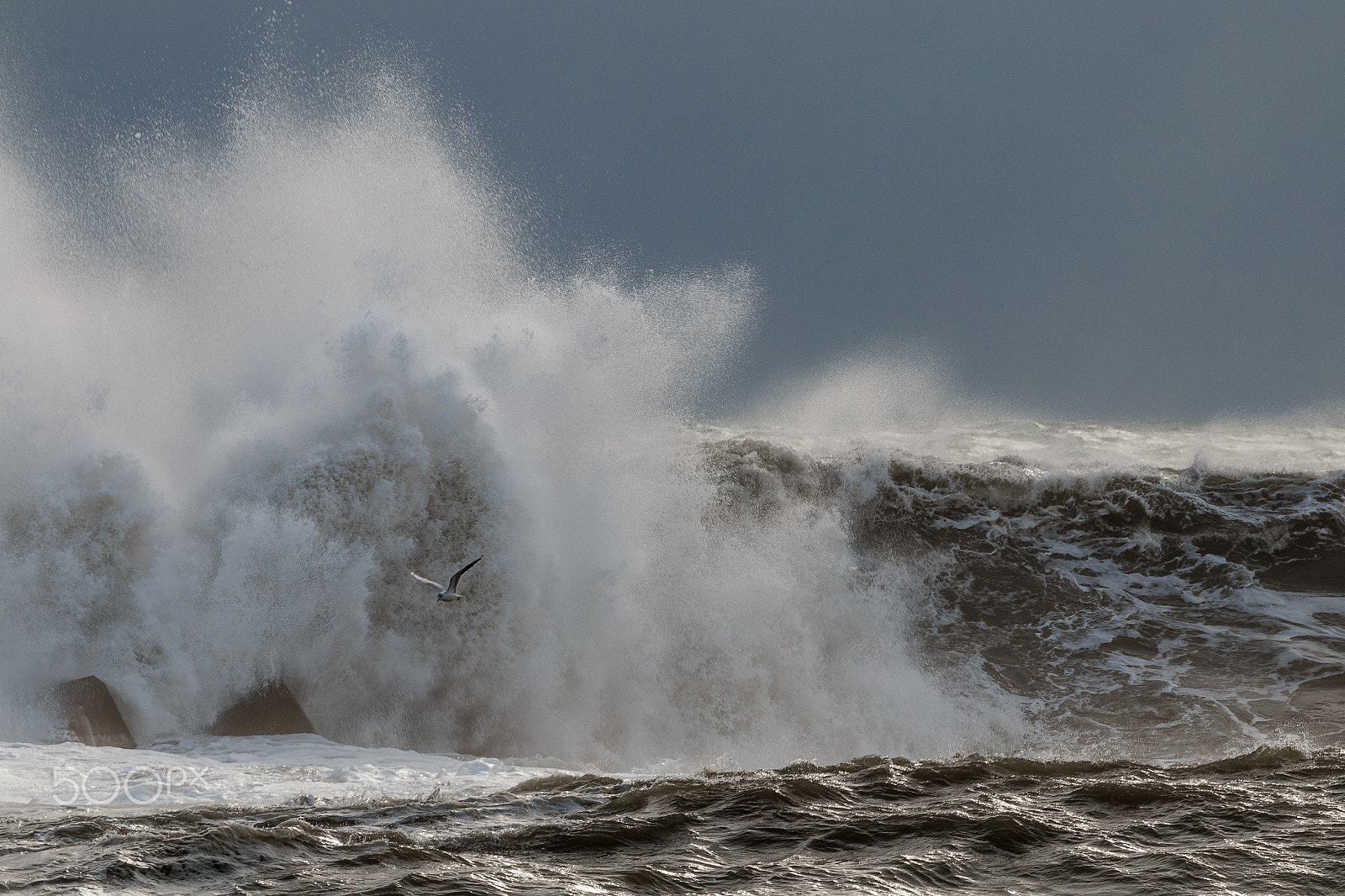 Canon EOS 70D + Canon EF 70-200mm F4L USM sample photo. Flying over stormy waves photography