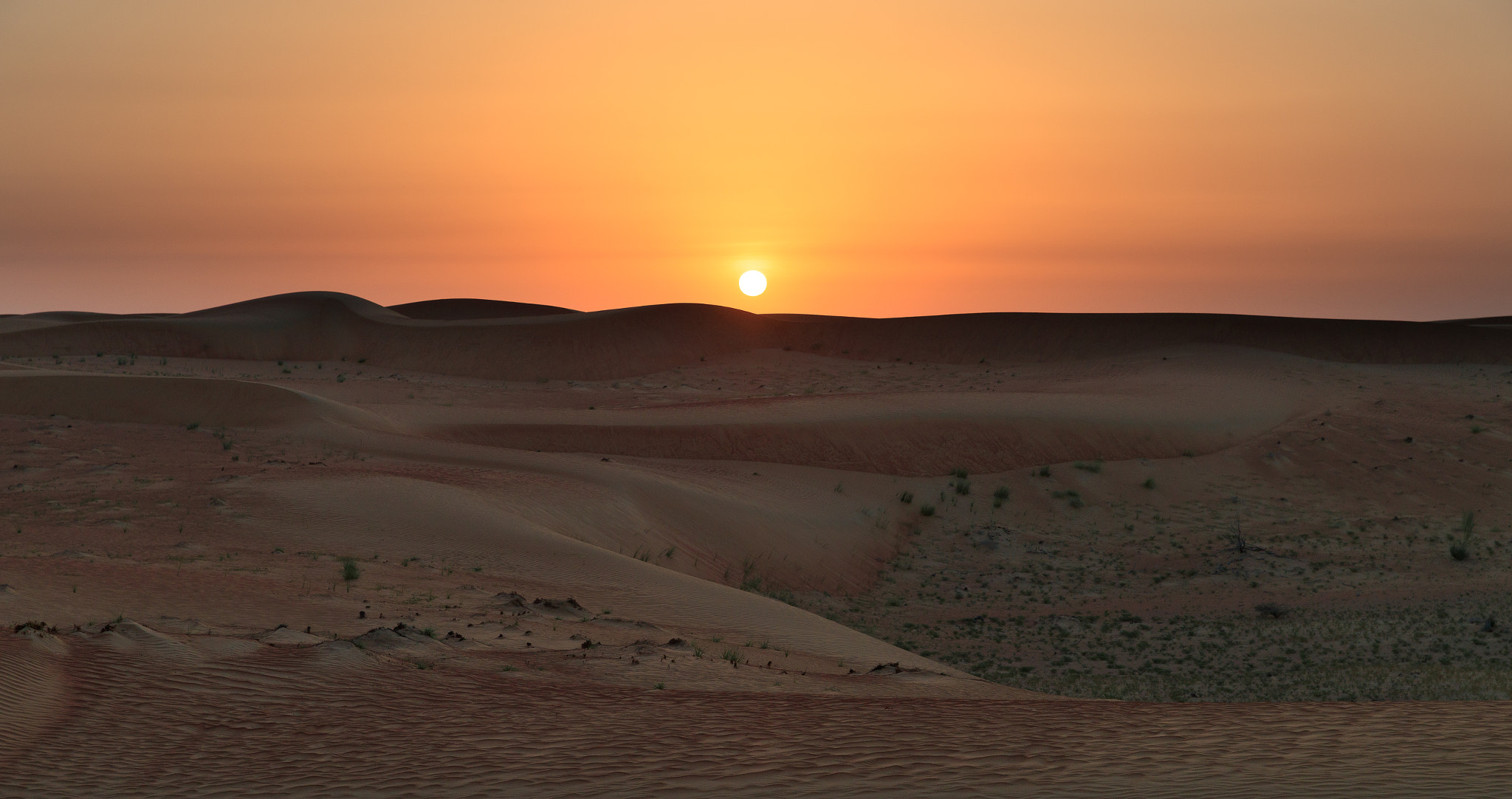 Canon EF 24-70mm F2.8L II USM sample photo. Dubai ae photography