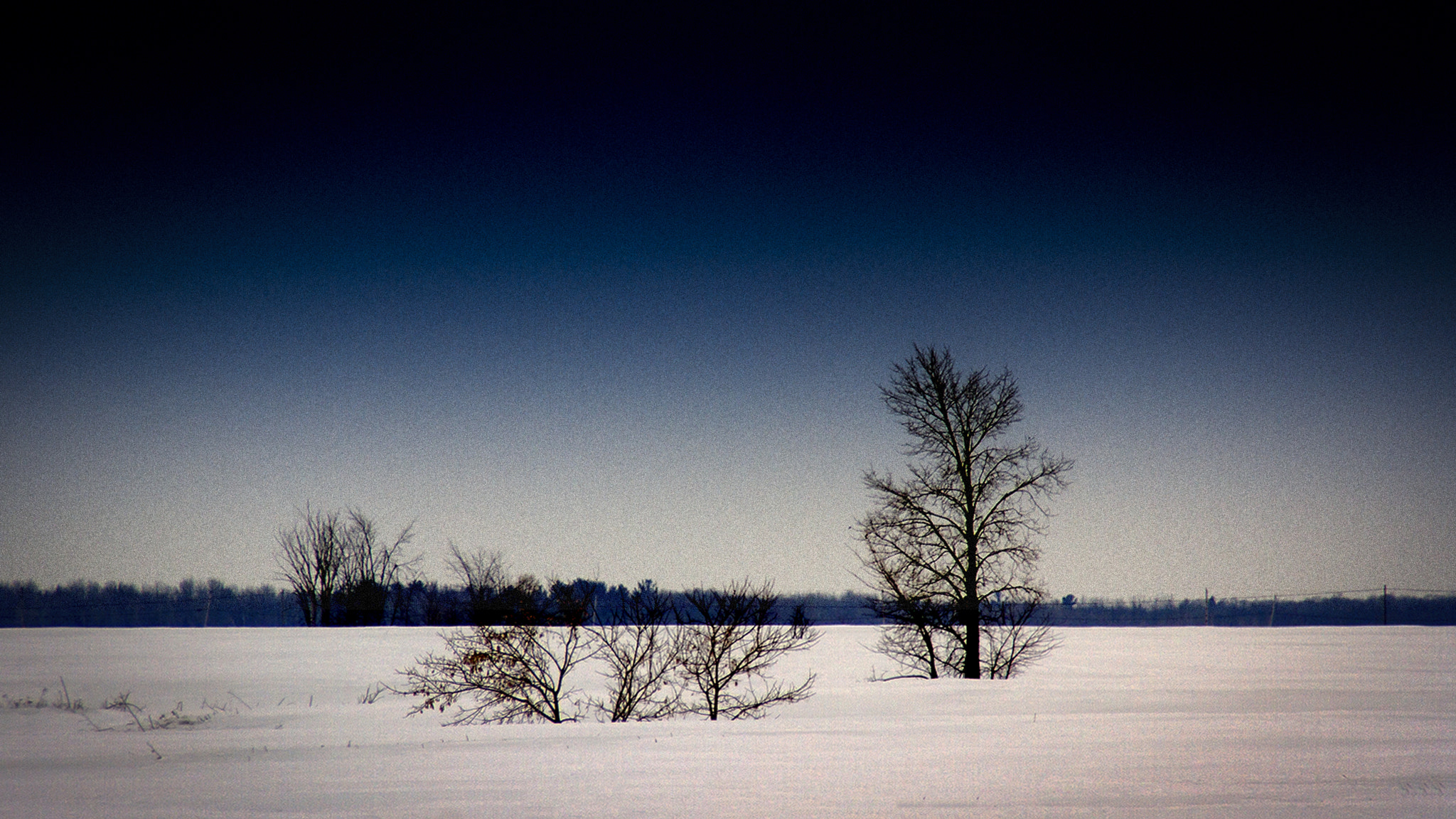 Tamron AF 28-200mm F3.8-5.6 XR Di Aspherical (IF) Macro sample photo. Mirabel, québec, february 2017 photography