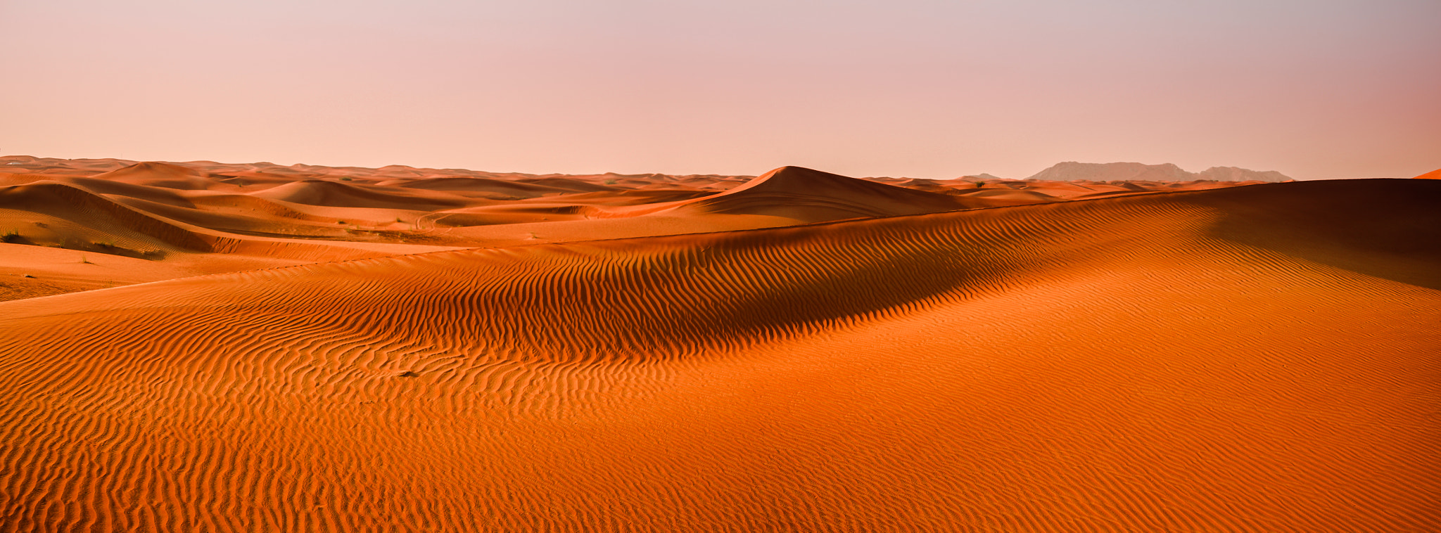 Canon EOS 5D Mark II sample photo. Dubai sand dunes photography