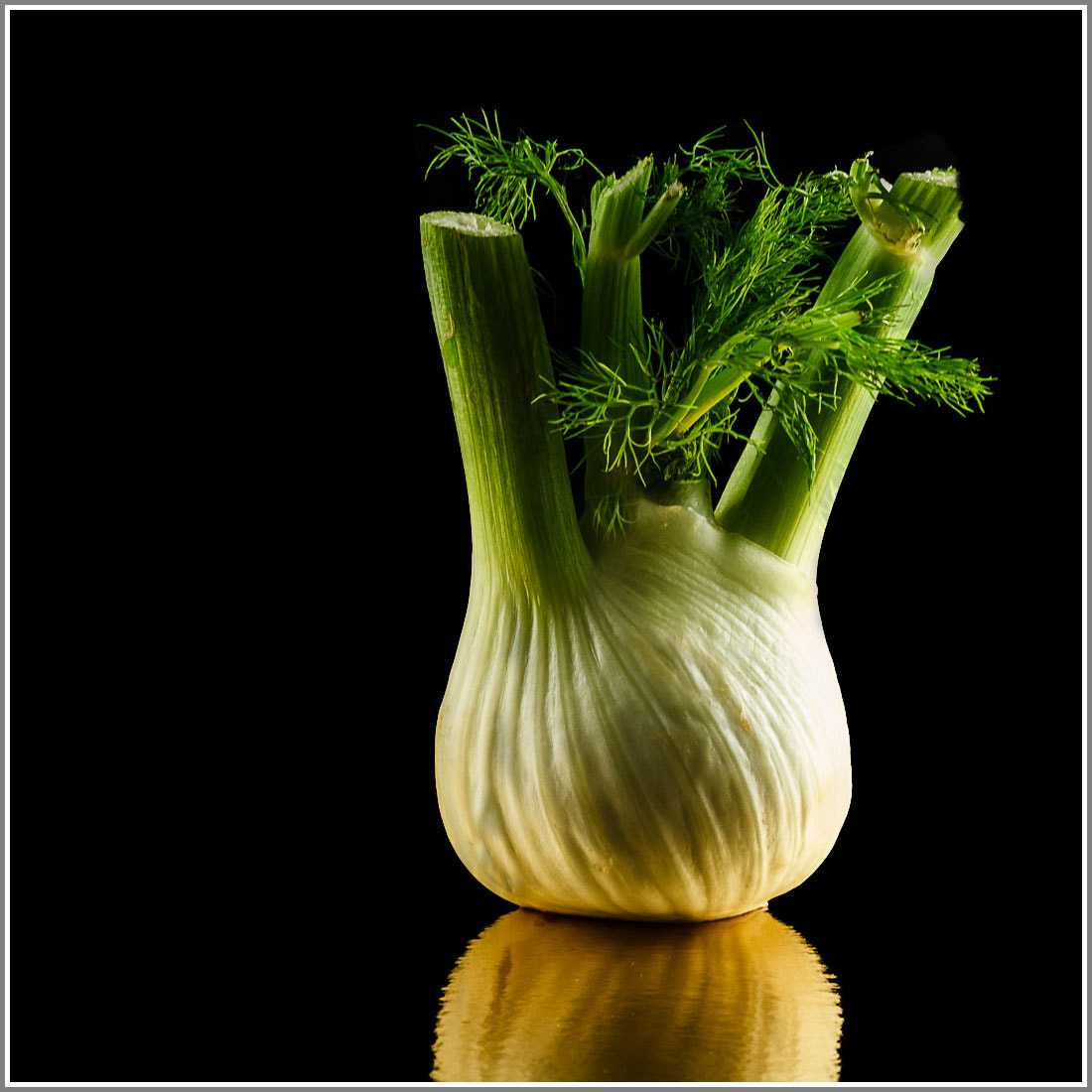 Canon EOS 7D + Sigma 24-70mm F2.8 EX DG Macro sample photo. Fennel photography