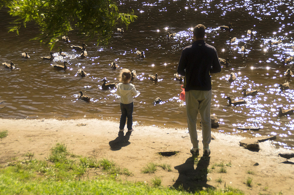 Sony DT 18-200mm F3.5-6.3 sample photo. On the river. photography