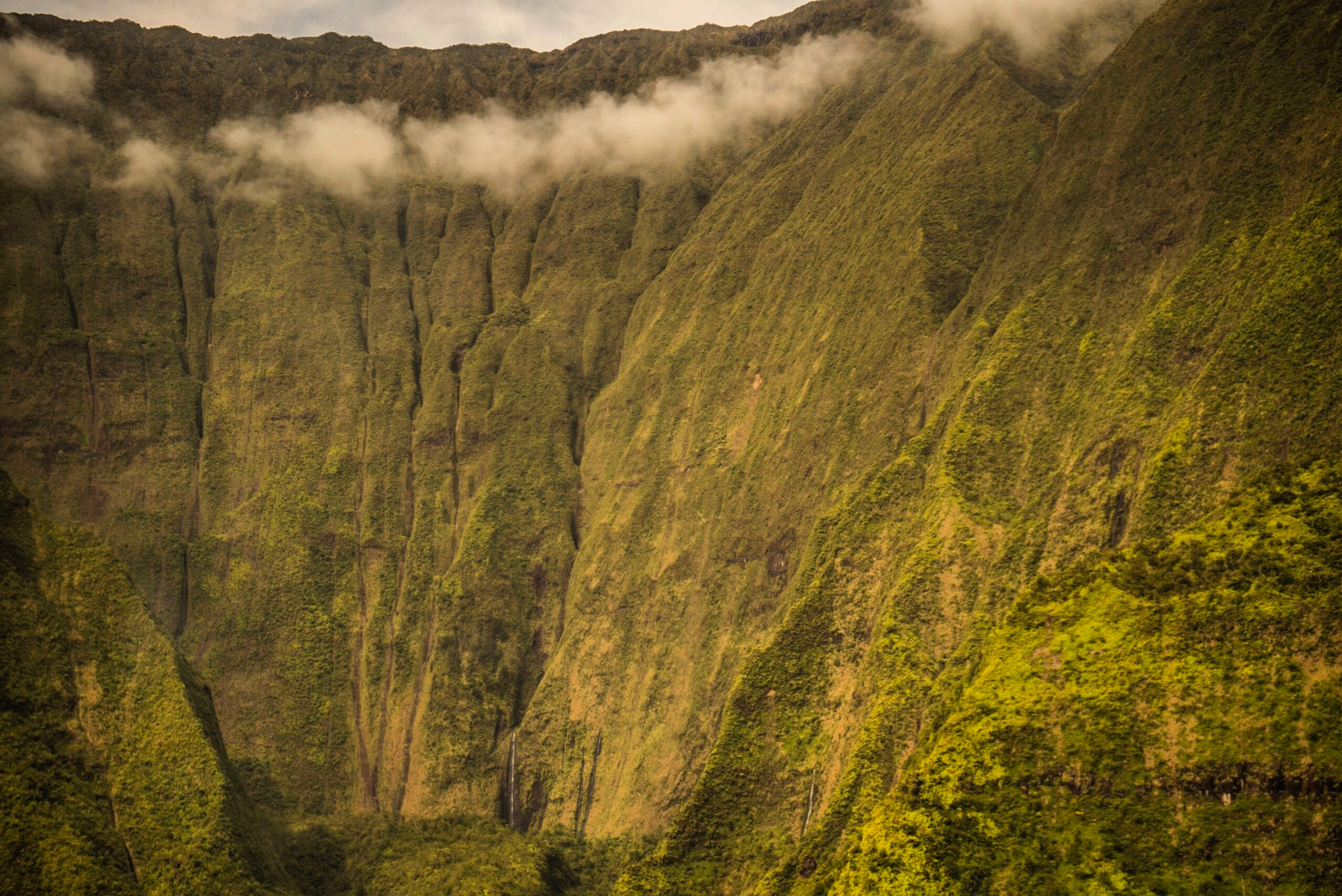 Sony a7R sample photo. Kauai backcountry backlit photography