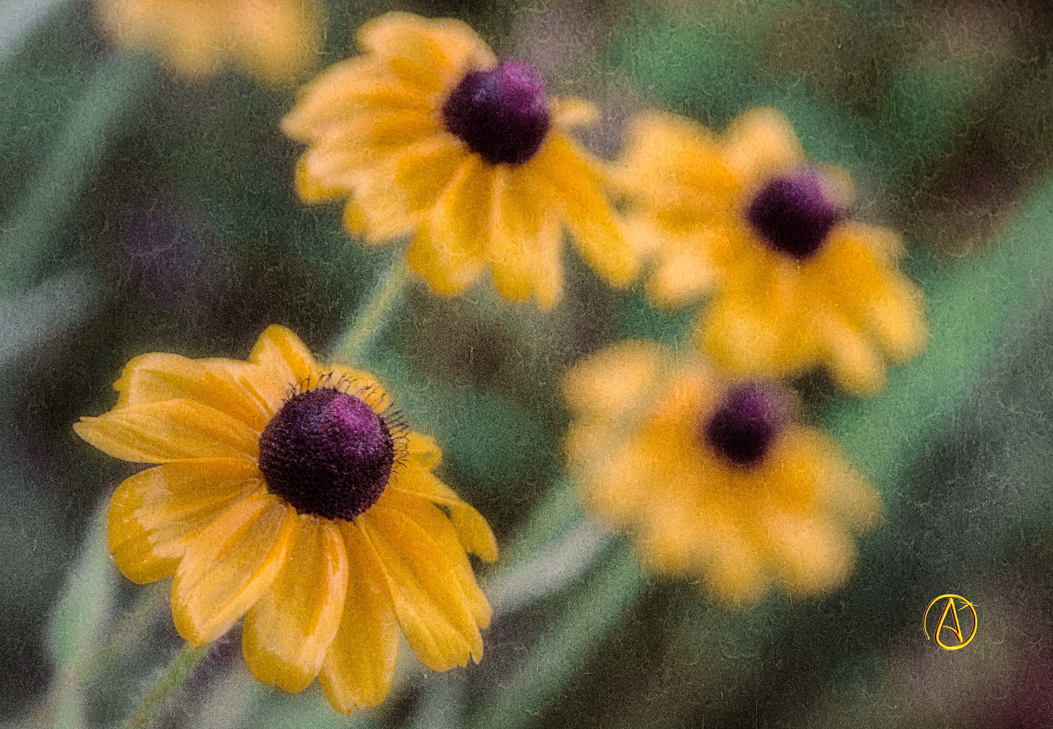 Canon EF 28-105mm f/3.5-4.5 USM sample photo. Conspire photography