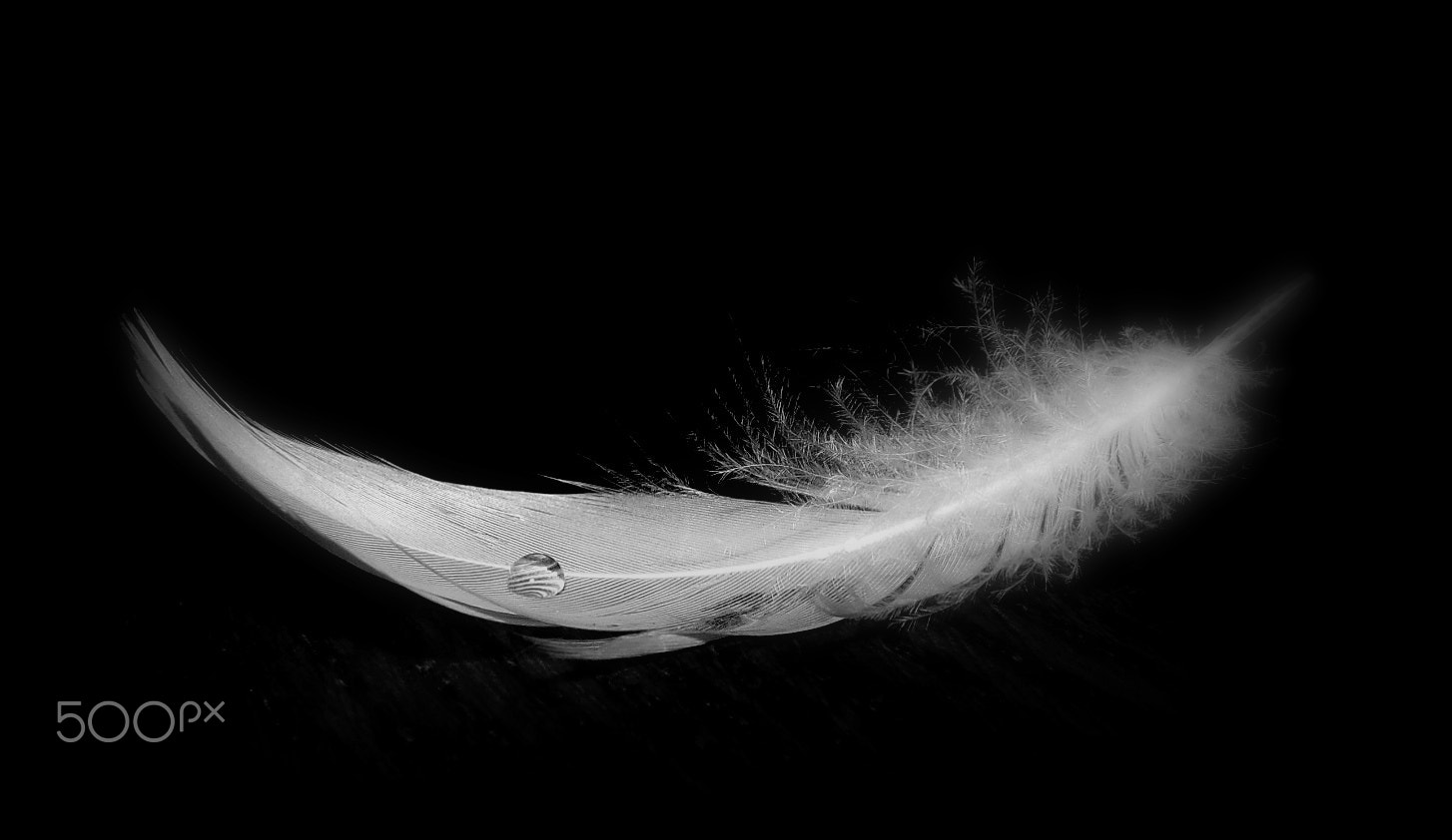 Samsung WB100/  WB101 sample photo. Light as a feather... photography