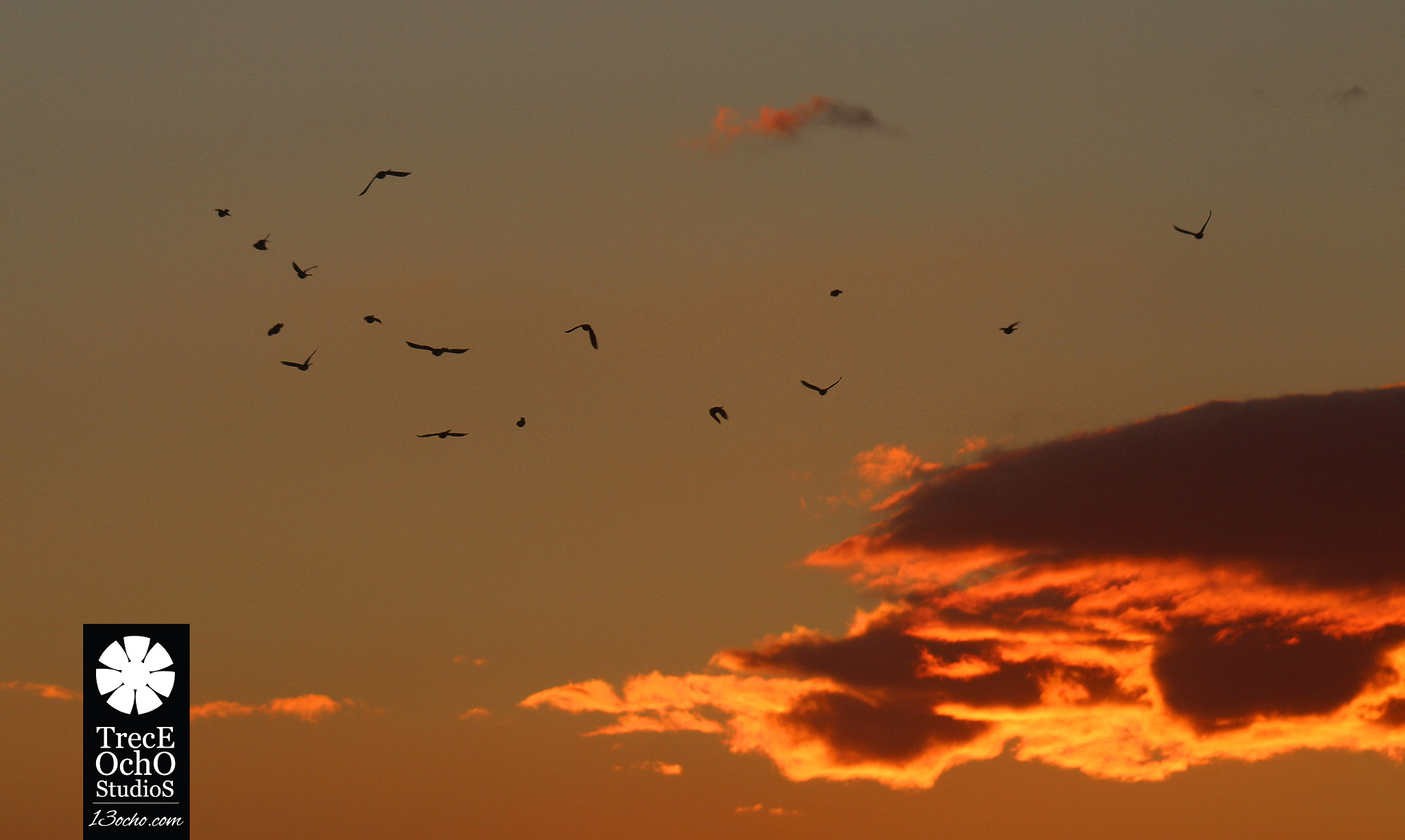 Canon EF 35-350mm F3.5-5.6L USM sample photo. Atardecer 001 photography