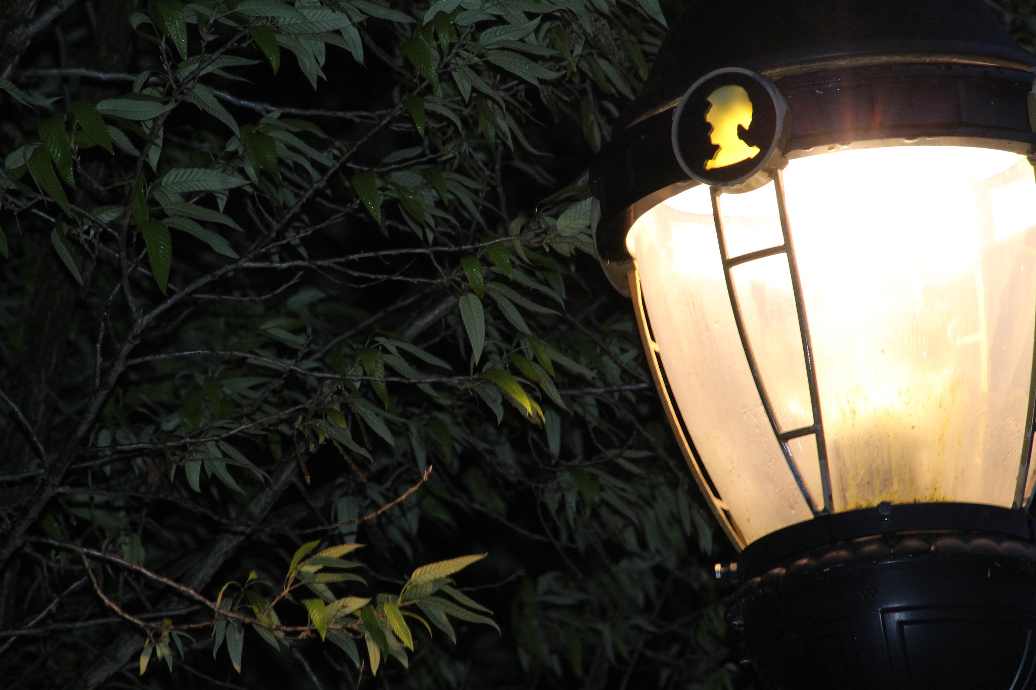 Canon EF-S 55-250mm F4-5.6 IS II sample photo. Acquiescence  photography