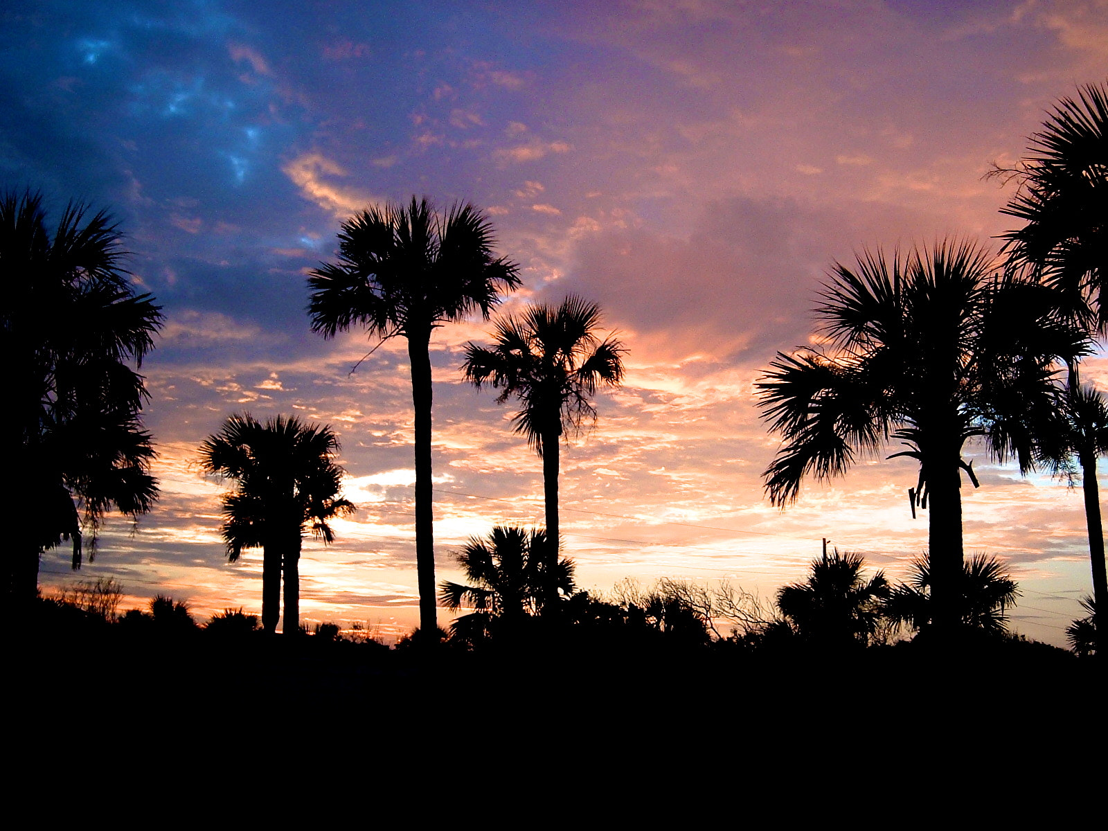 Fujifilm FinePix A330 sample photo. Ponte vedra palms photography