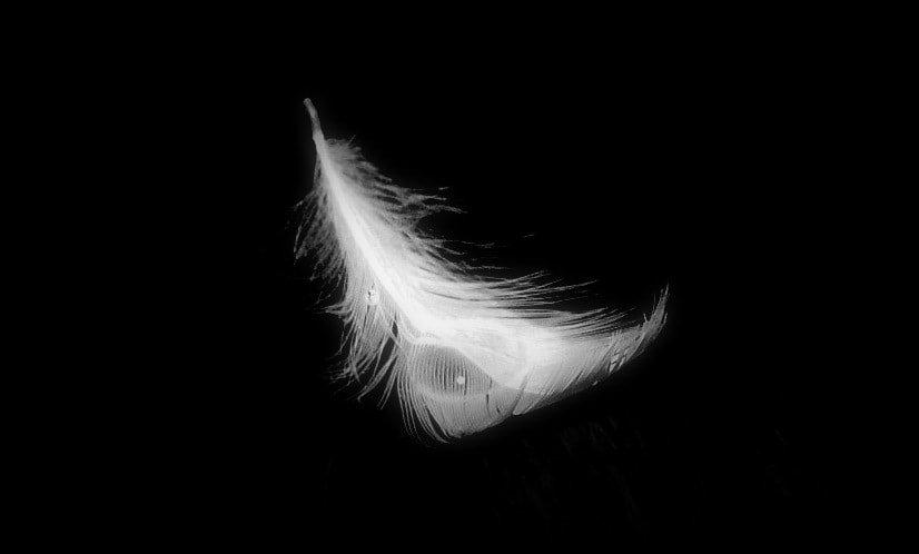 Samsung WB100/  WB101 sample photo. Feather (nd) photography