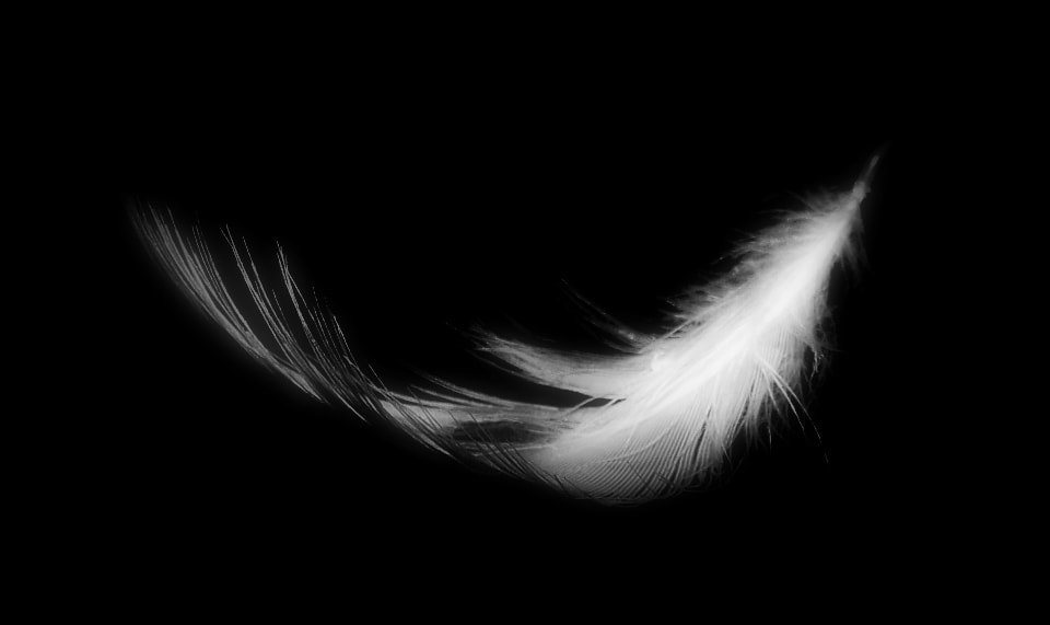 Samsung WB100/  WB101 sample photo. Feather (th) photography