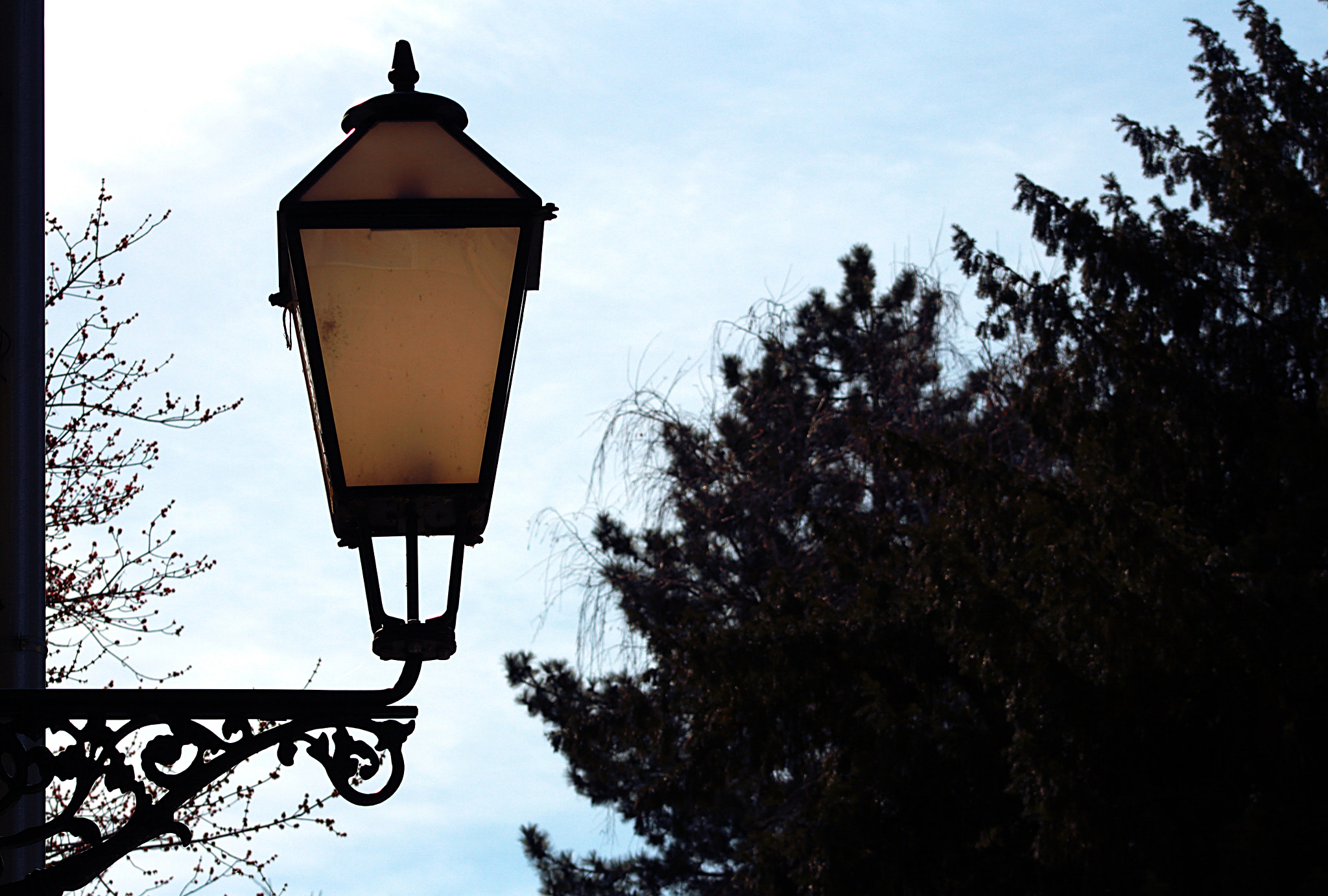Canon EOS 700D (EOS Rebel T5i / EOS Kiss X7i) + EF75-300mm f/4-5.6 sample photo. Vignette photography