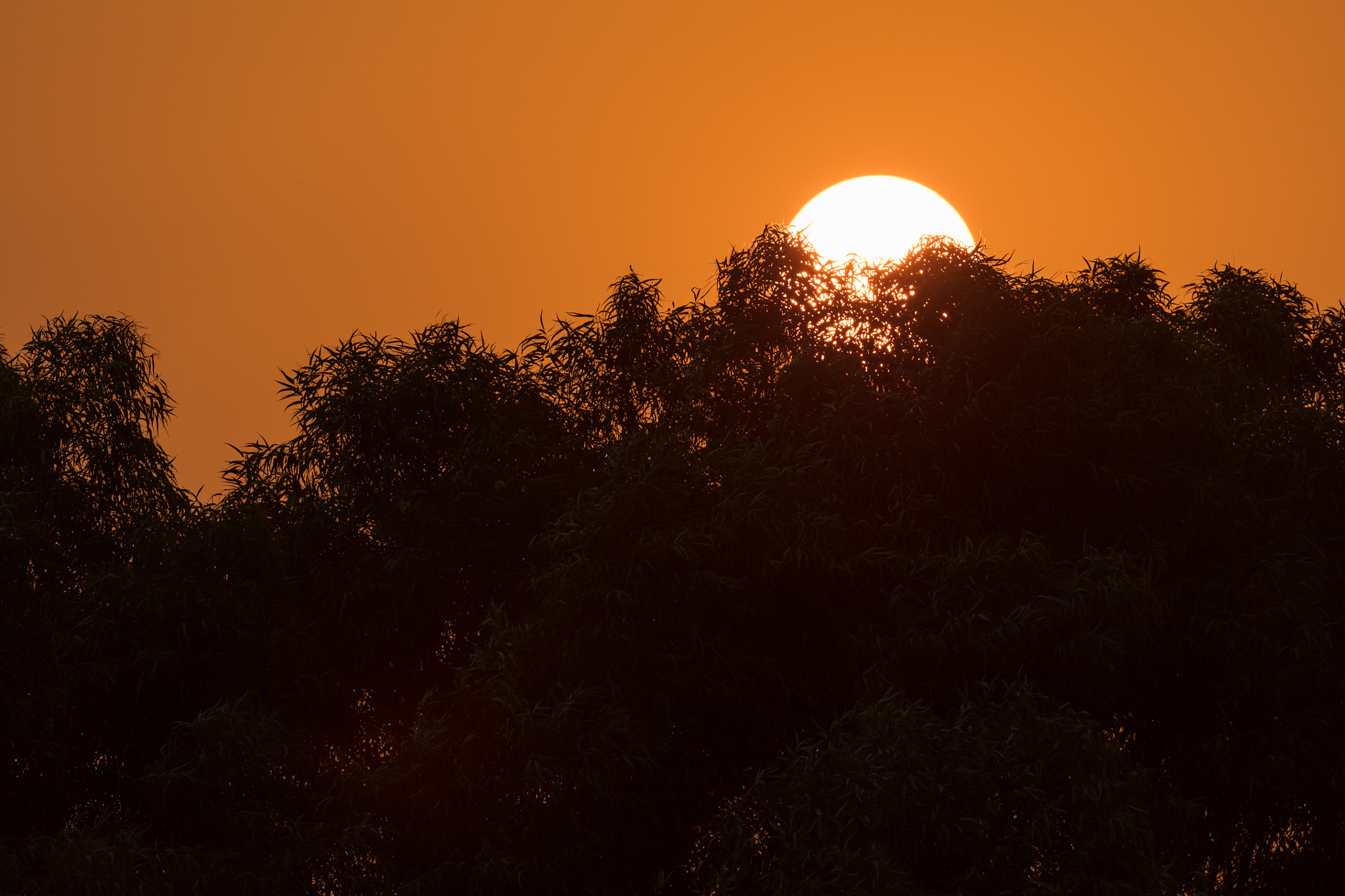 Canon EF 200-400mm F4L IS USM Extender 1.4x sample photo. View from the rooftop photography