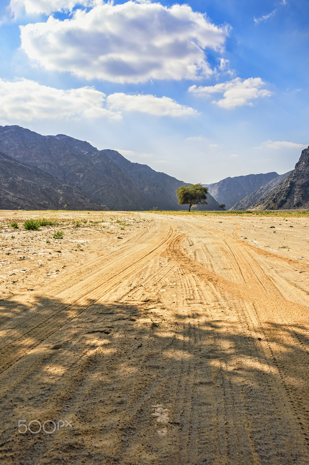 Sigma 18-250mm F3.5-6.3 DC OS HSM sample photo. That lines to that lonely tree in amazing nature + photography